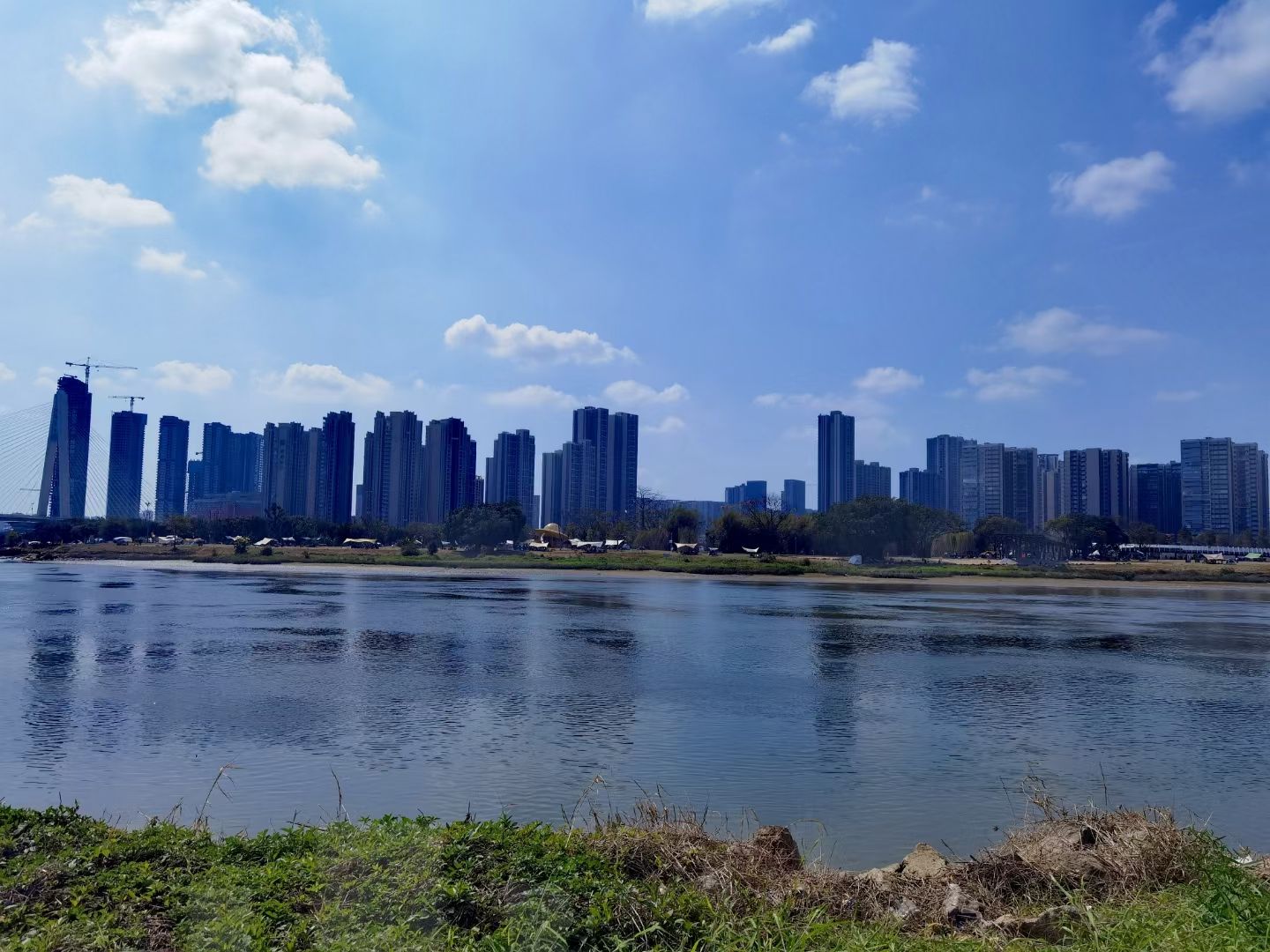 桂城西龙湿地公园旅行图片 3