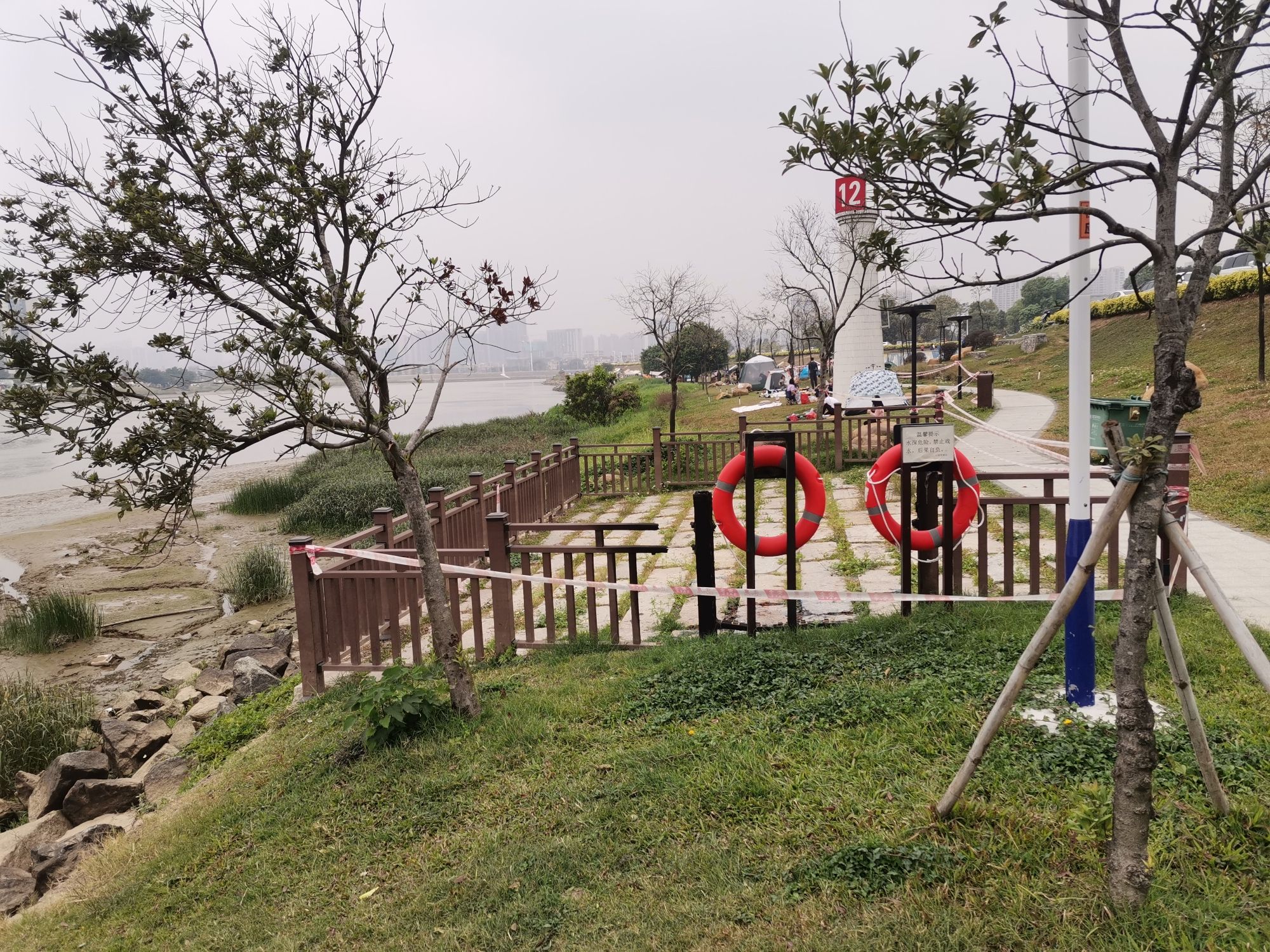 桂城西龙湿地公园旅行图片 3