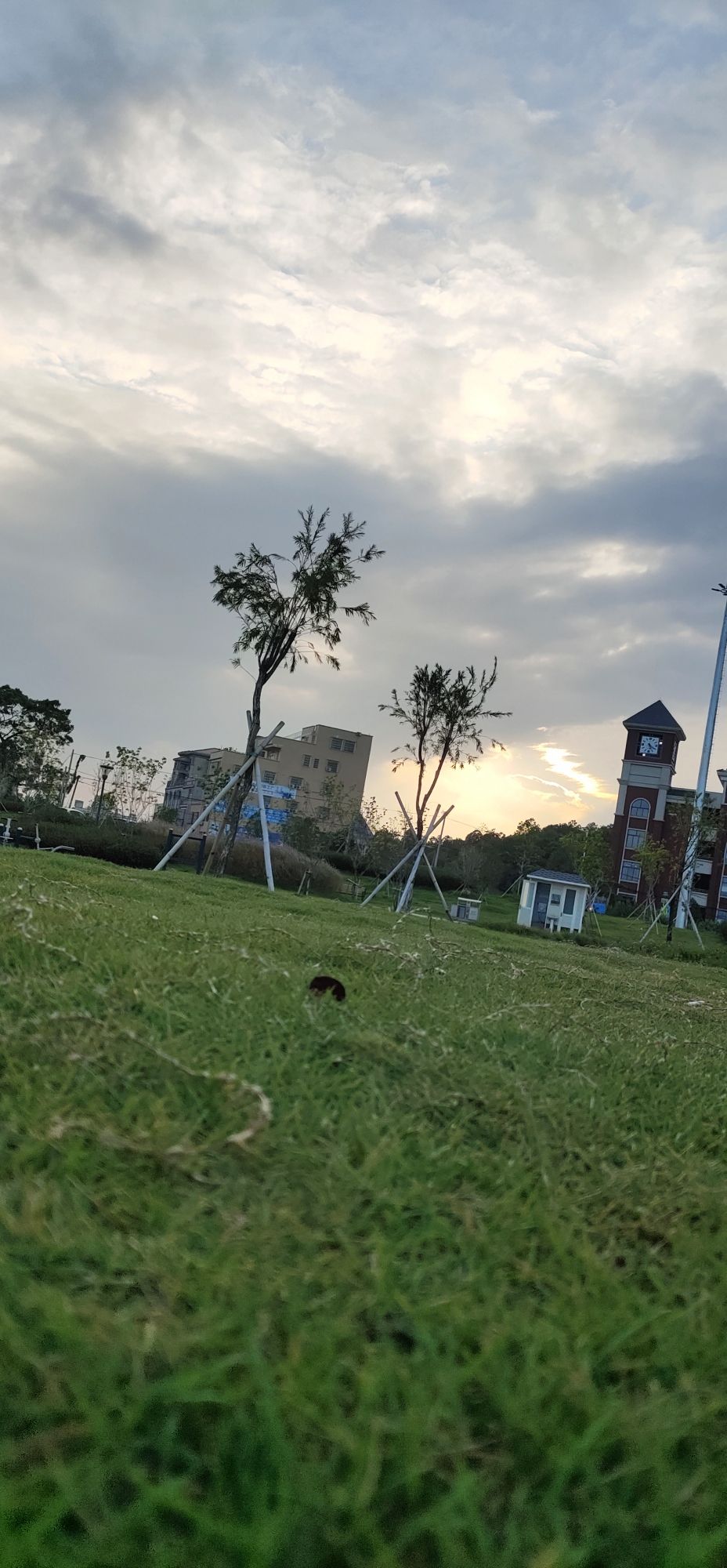 滨江公园旅行图片 2