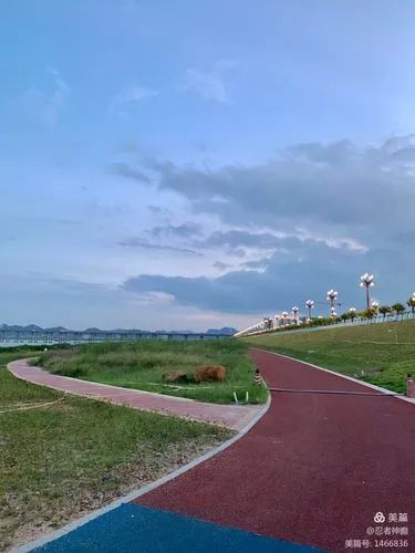 滨江公园旅行图片 3