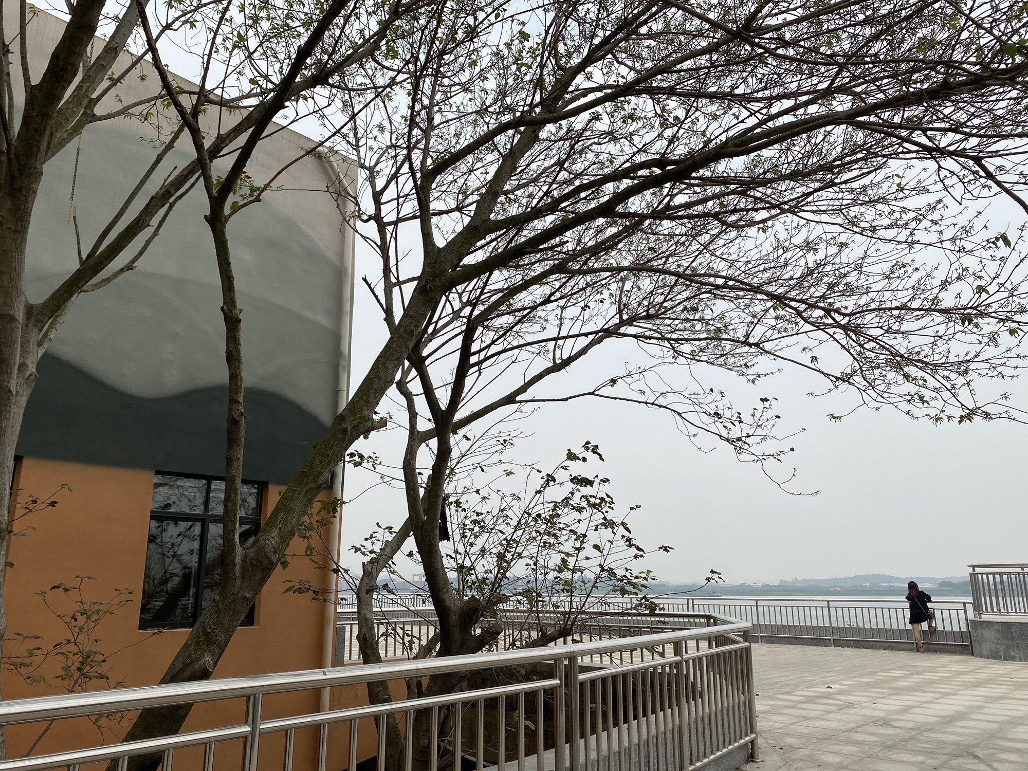滨江公园旅行图片 2