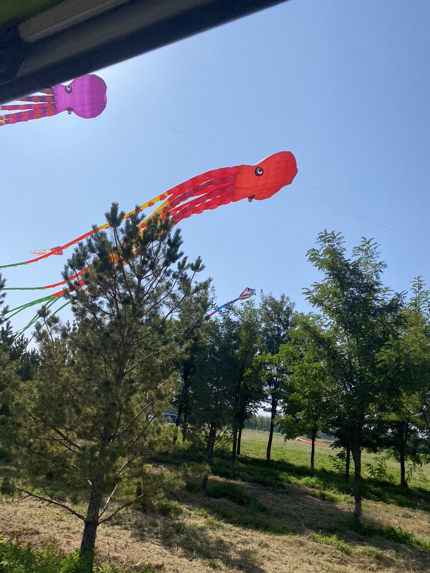 泥河湾国家考古遗址公园旅行图片 3