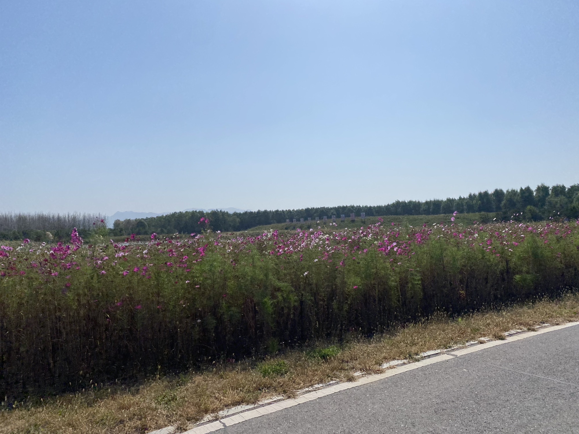 泥河湾国家考古遗址公园旅行图片 2
