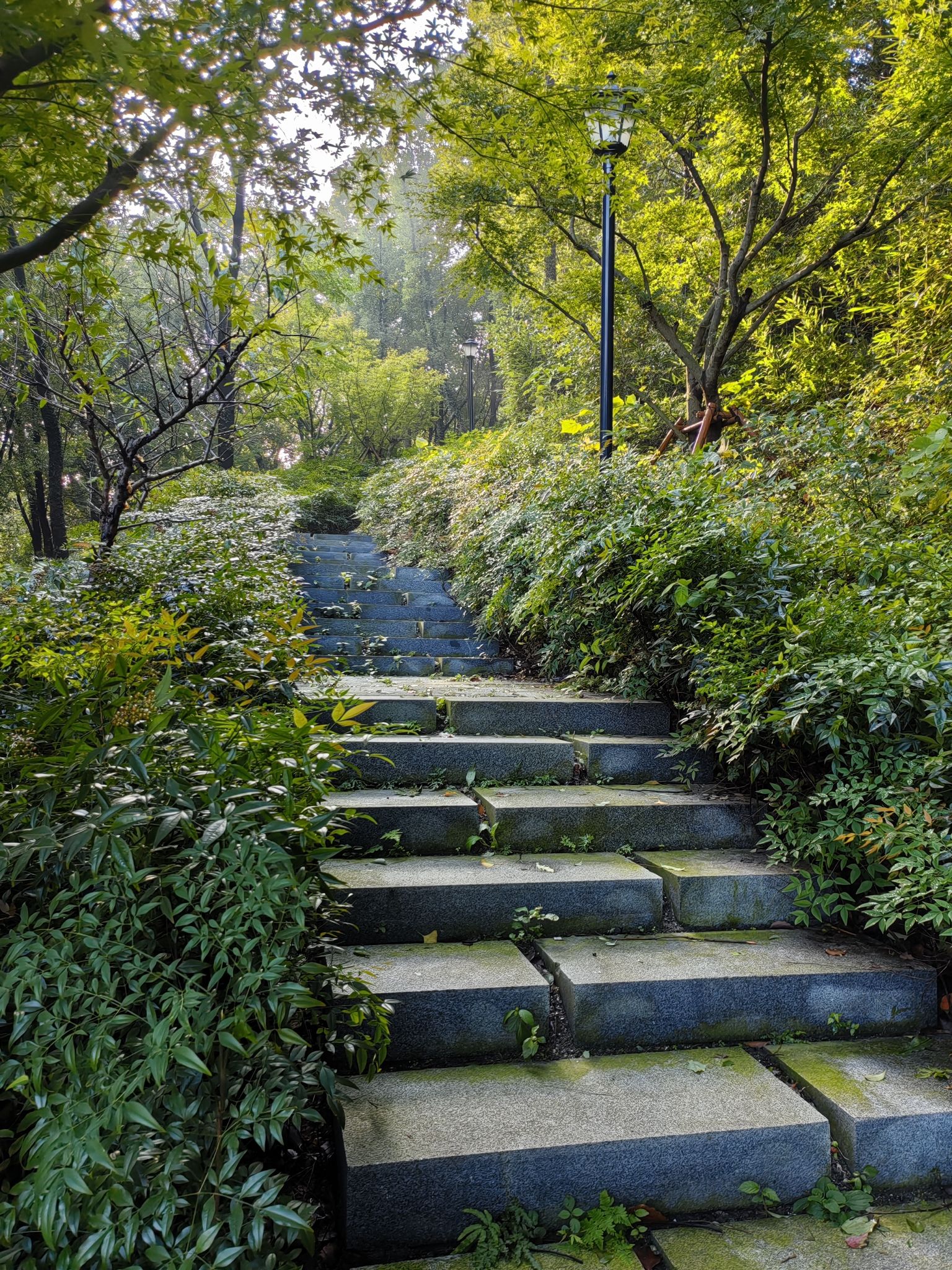 将军山公园旅行图片 1