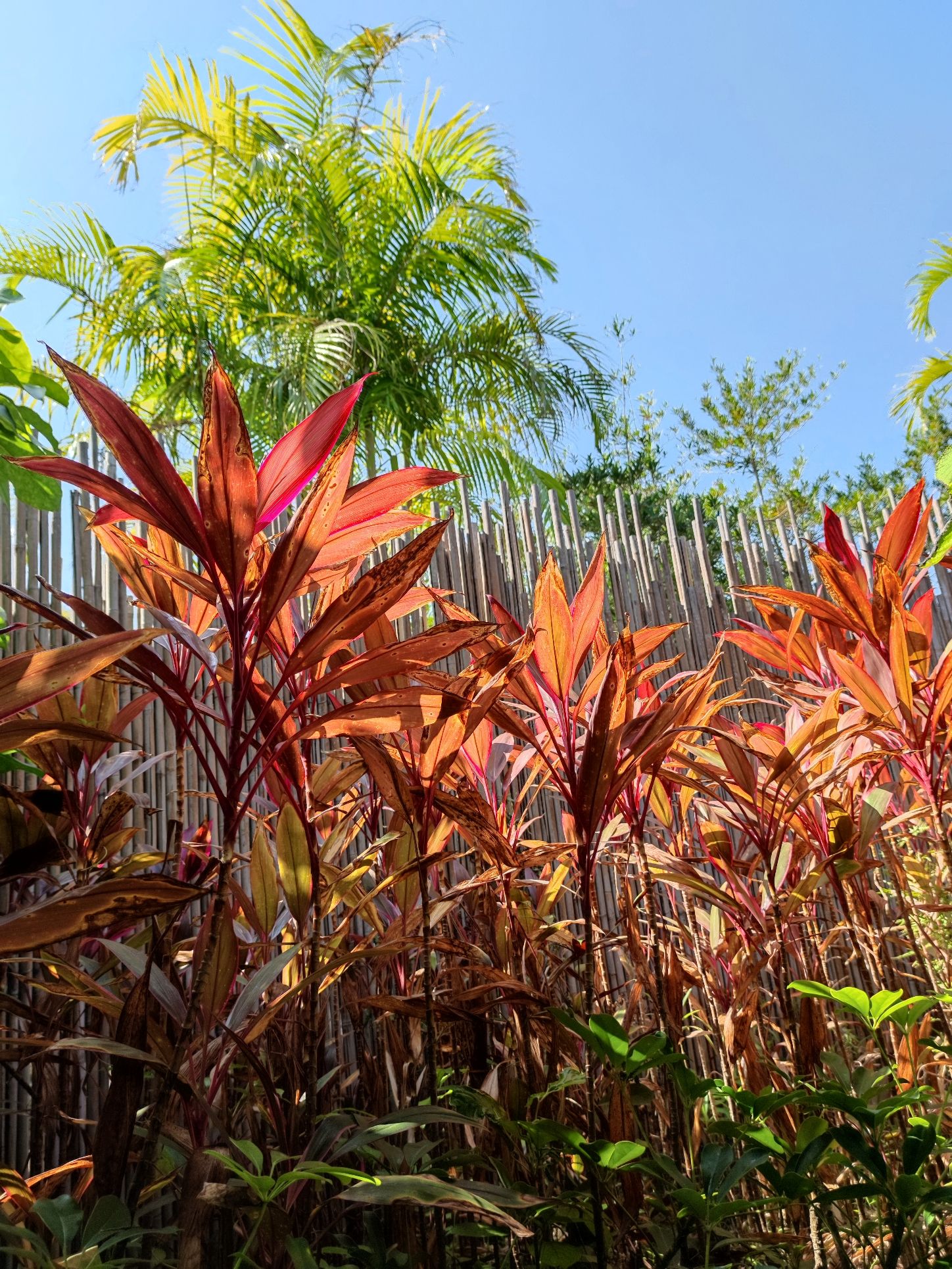 广州从化都喜泰丽温泉度假区