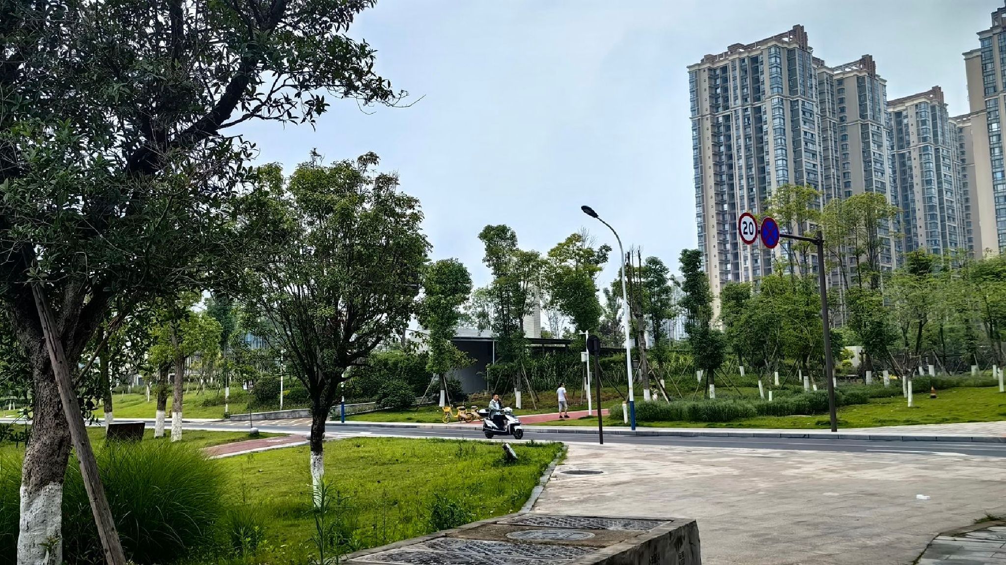 谢家河再生水厂海绵公园旅行图片 1