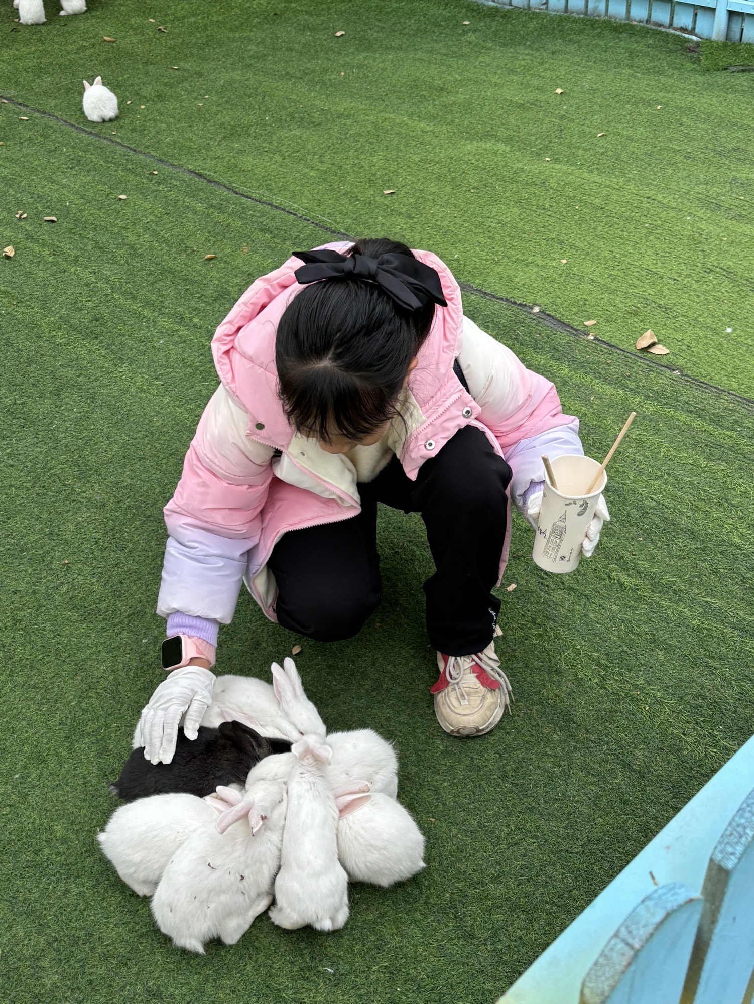 蓝田紫林旅游度假区旅行图片 3
