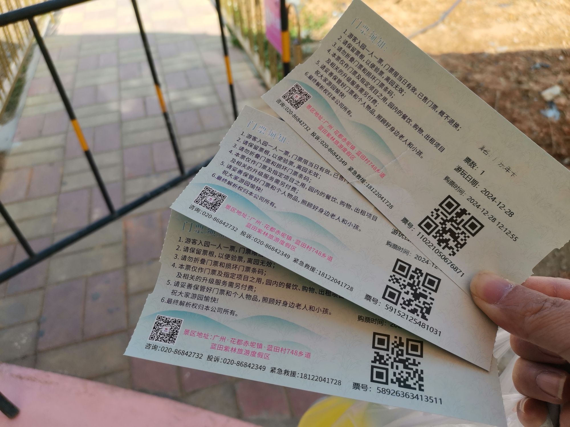 蓝田紫林旅游度假区旅行图片 2