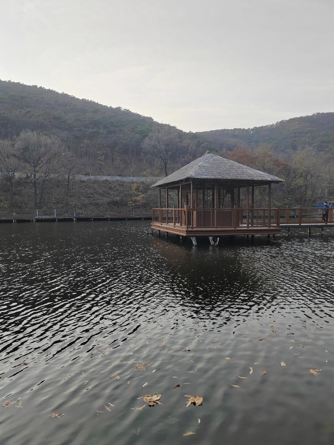 文泽湖旅行图片 3