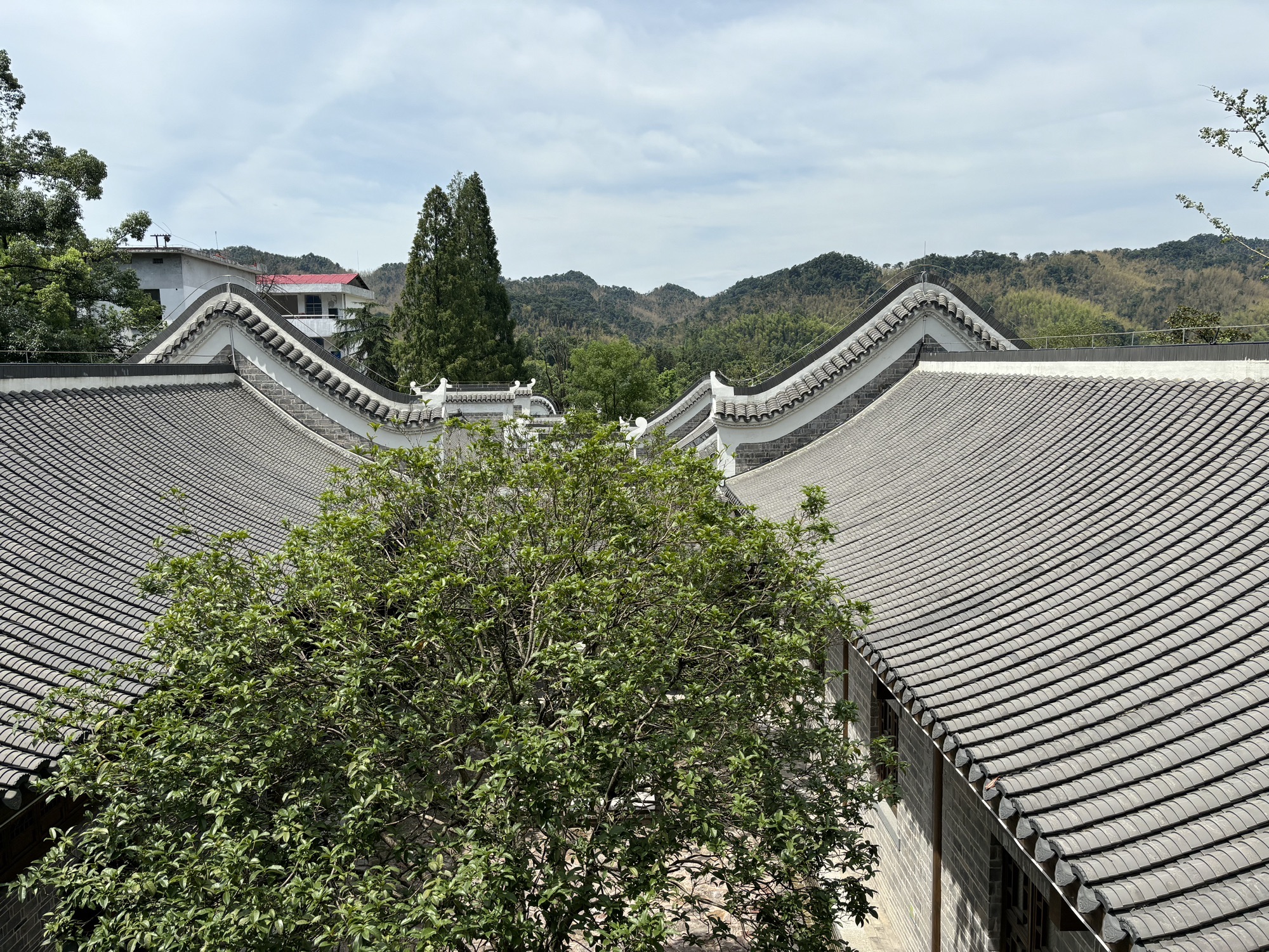 箴言书院旅行图片 3