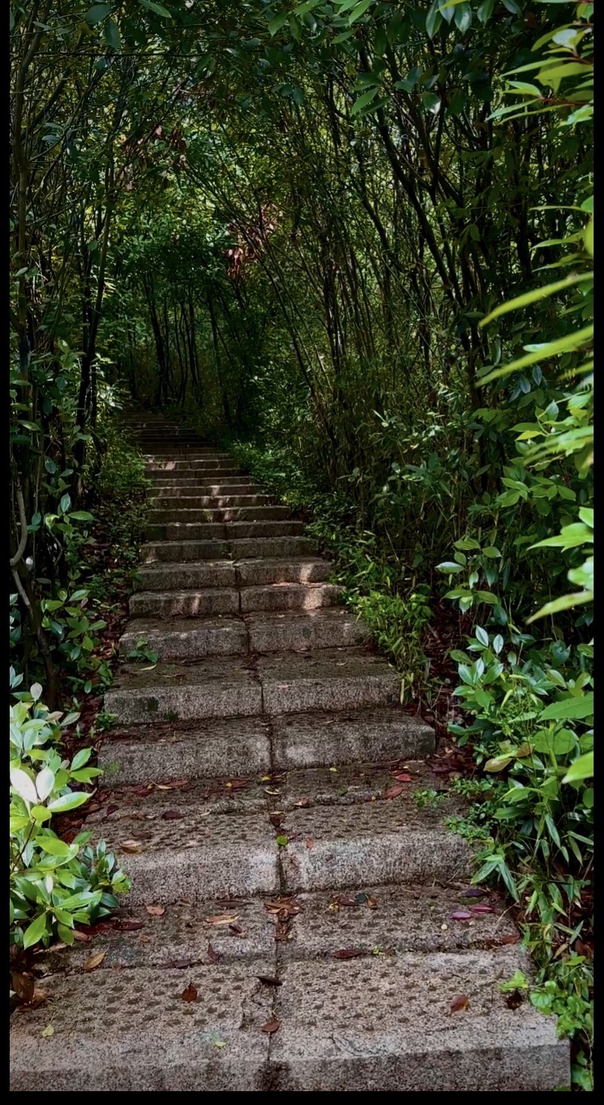 龙山石墙遗址旅行图片 3