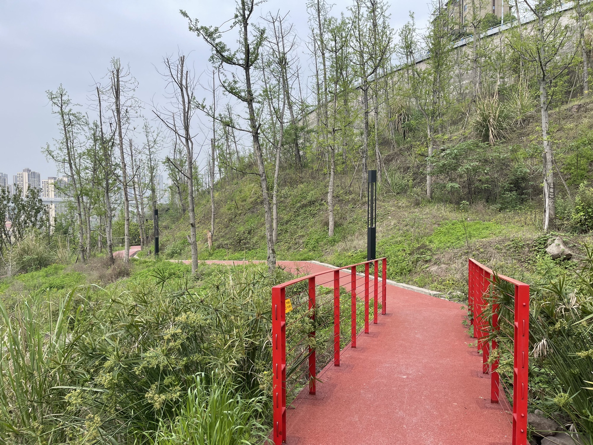 华侨城运动生活公园旅行图片 3