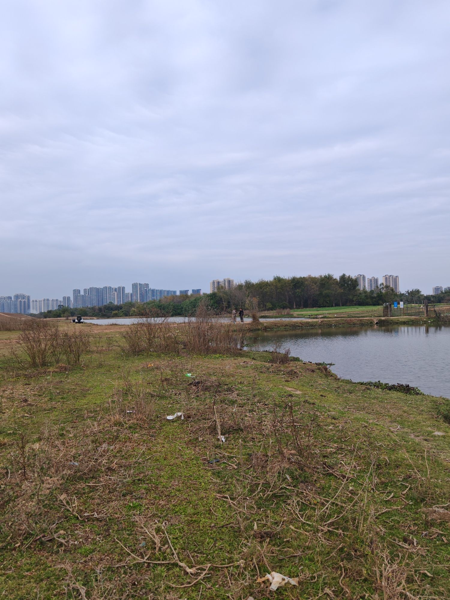 仙眷花洲花海旅行图片 1