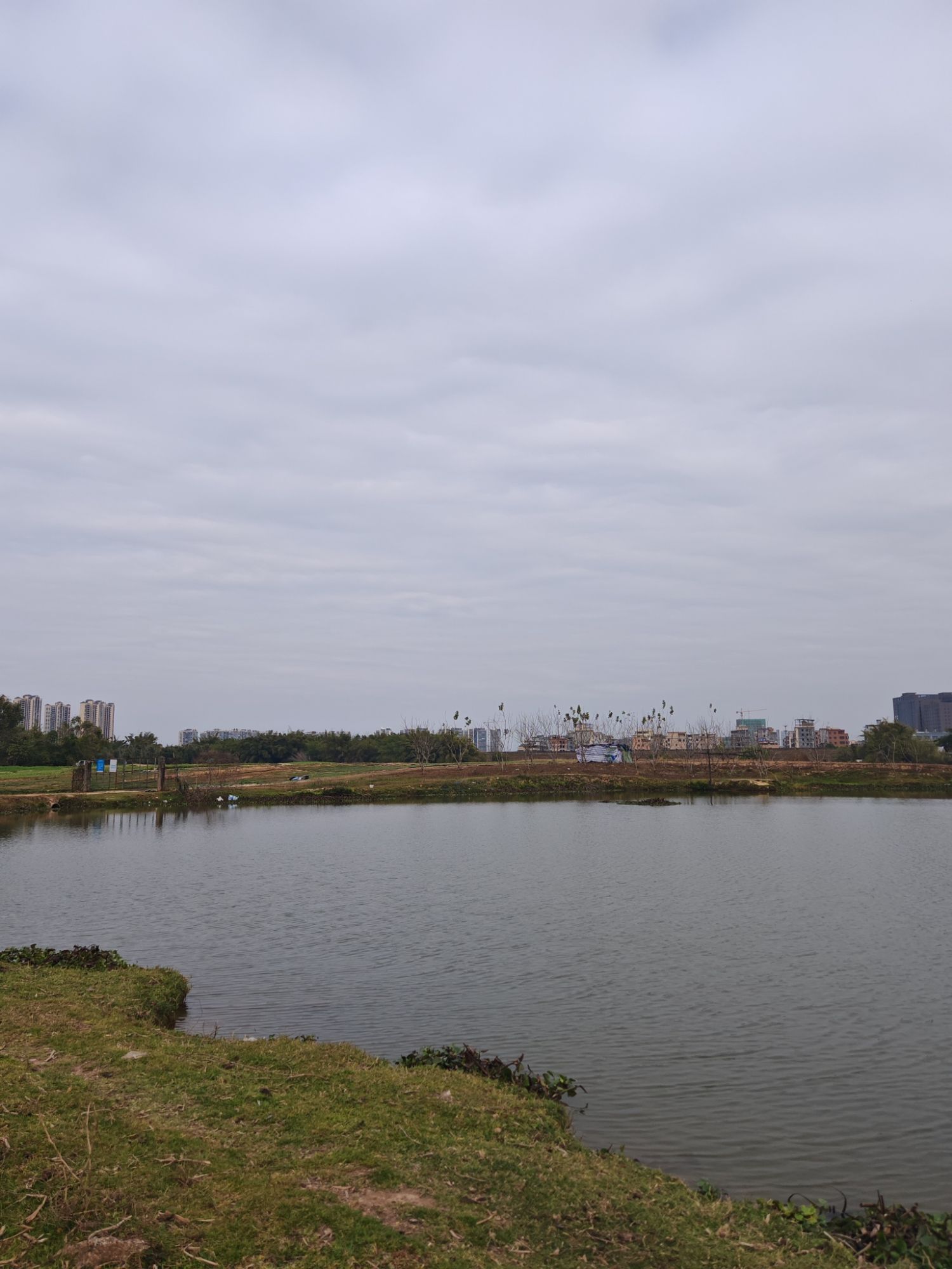 仙眷花洲花海旅行图片 2