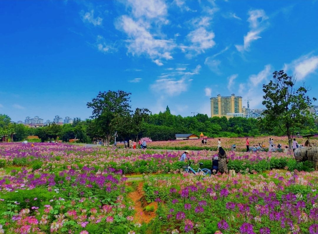 Wuhan Ma'anshan Forest Park