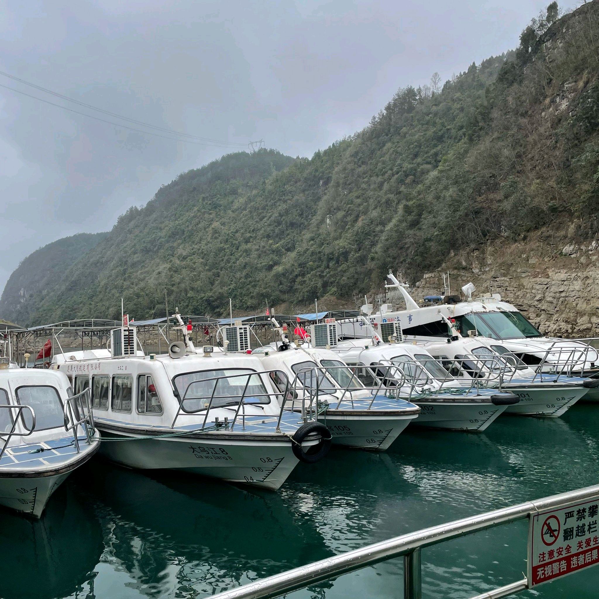 楠木渡景区旅行图片 1