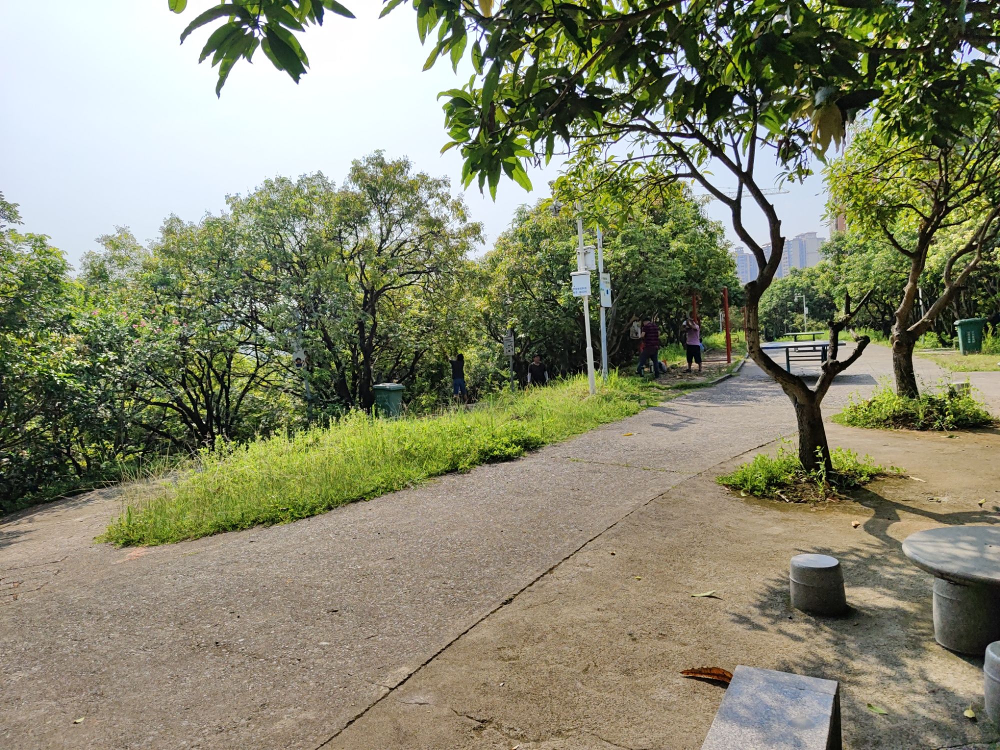 附城公园旅行图片 3