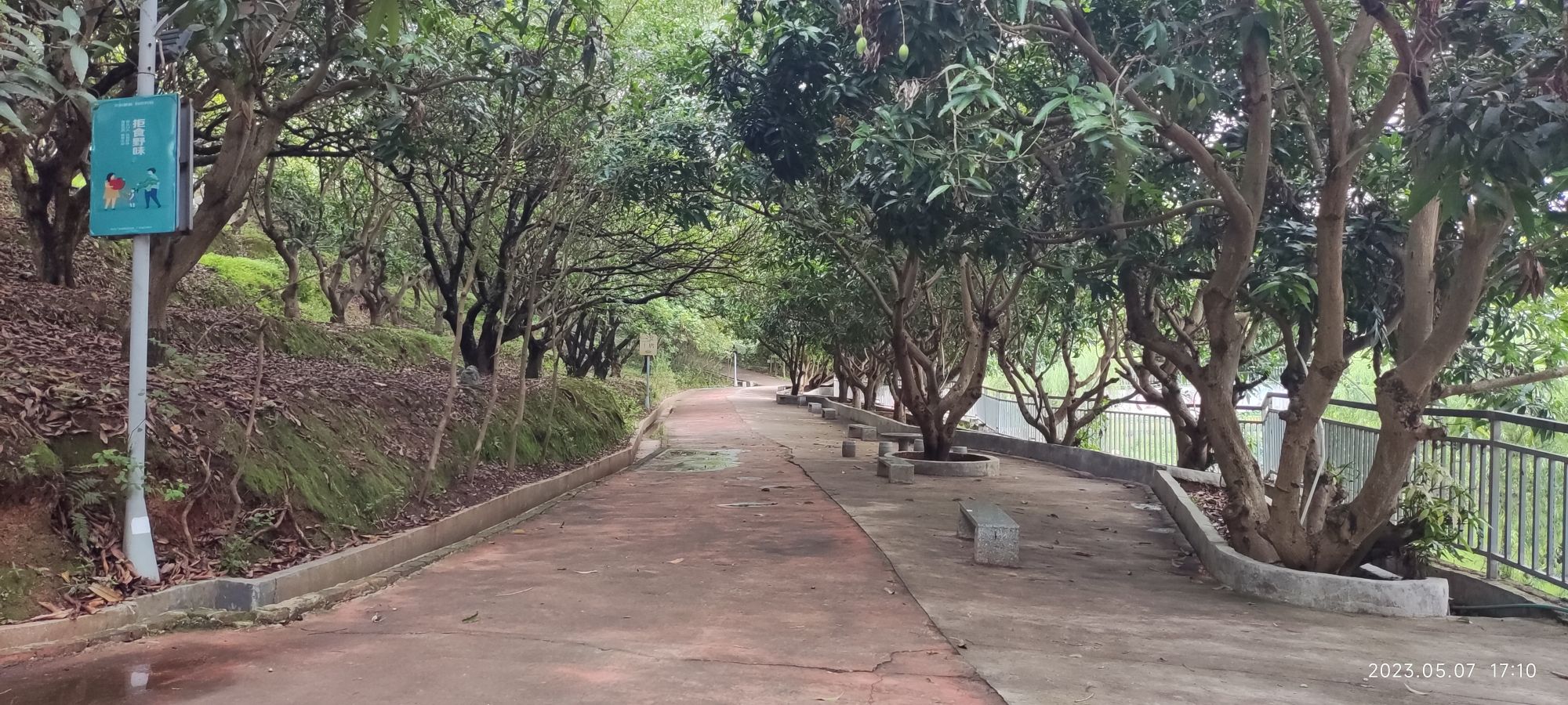 附城公园旅行图片 2