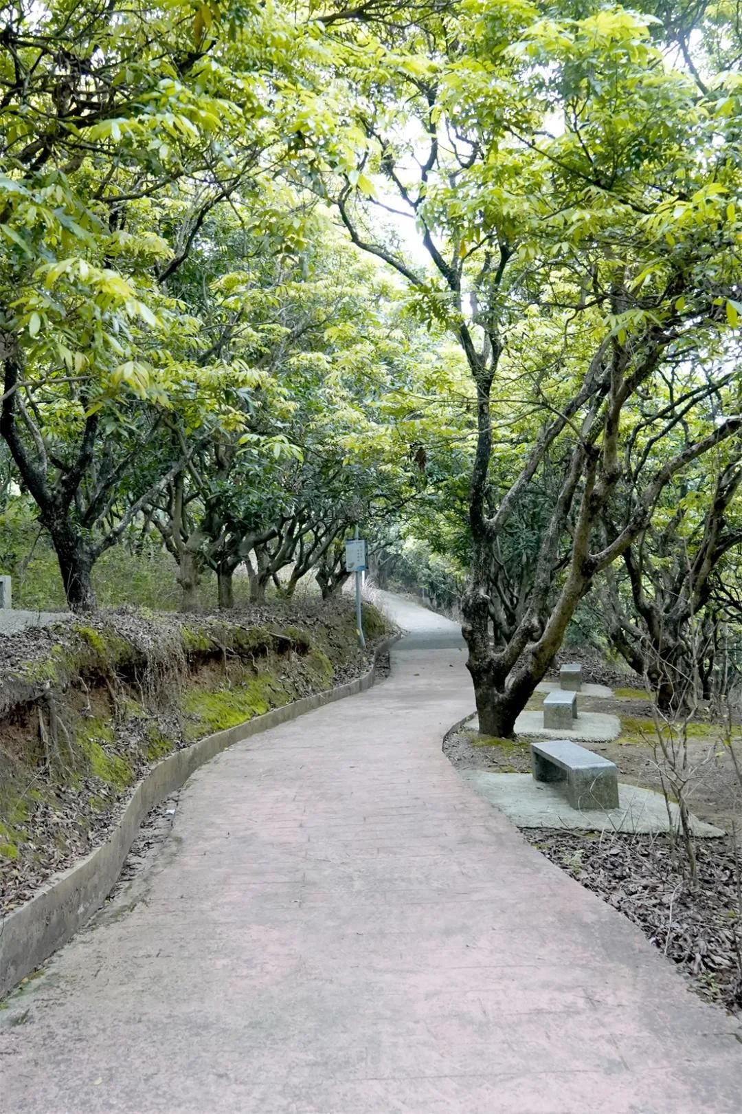 附城公园