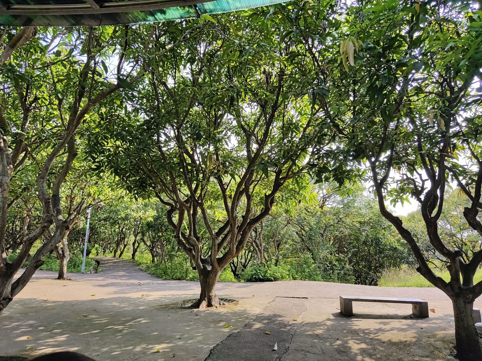 附城公园旅行图片 2
