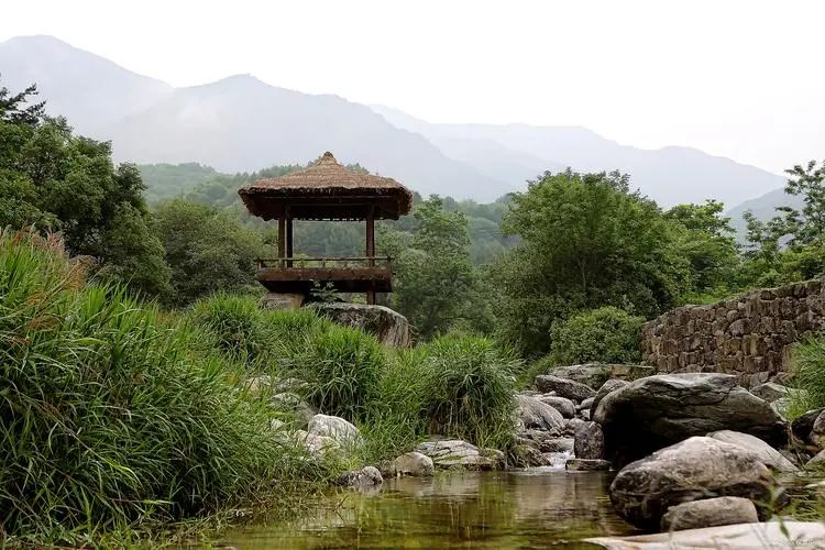 枫岭体育公园旅行图片 1