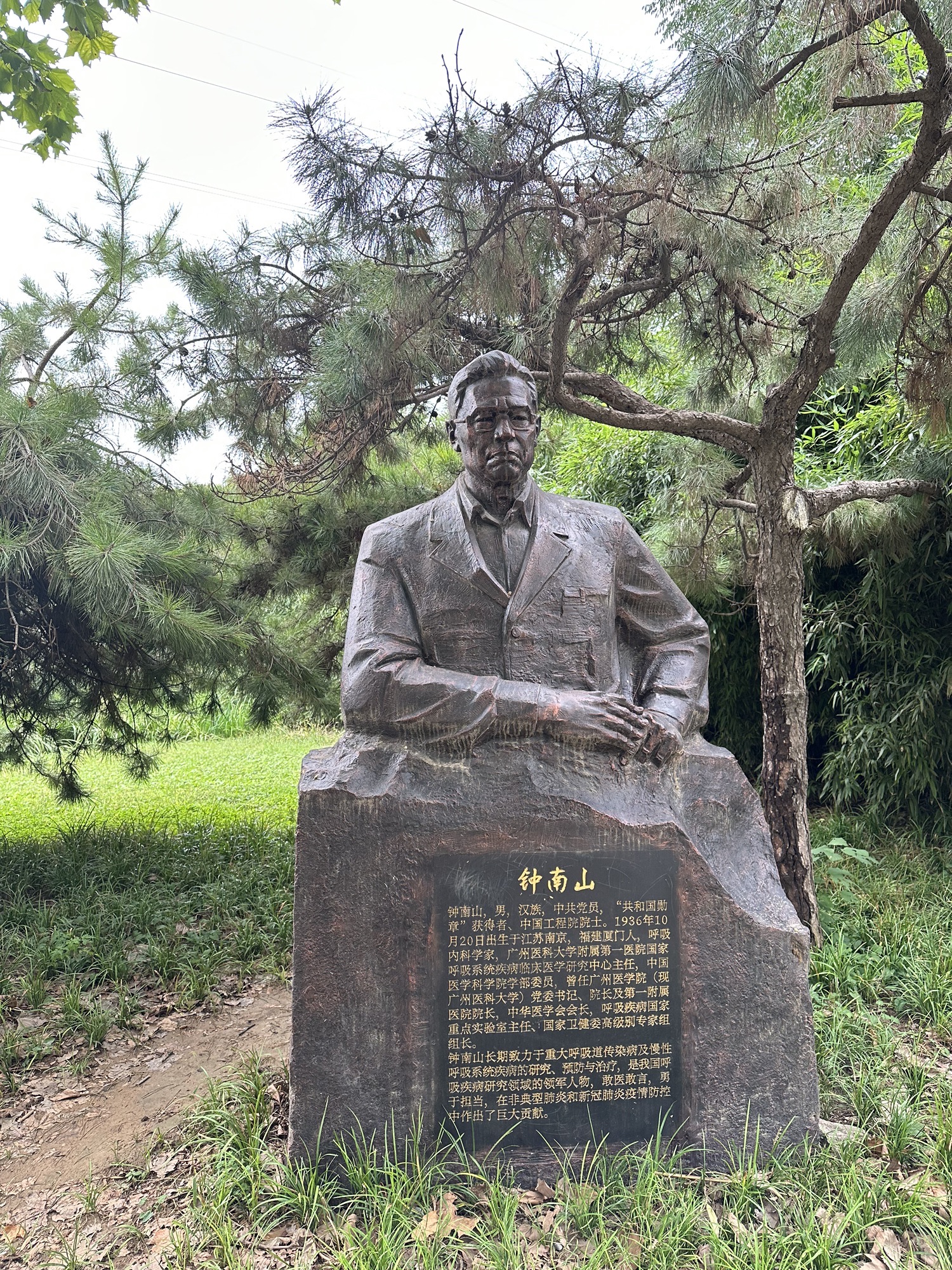 裕华区劳动公园旅行图片 1