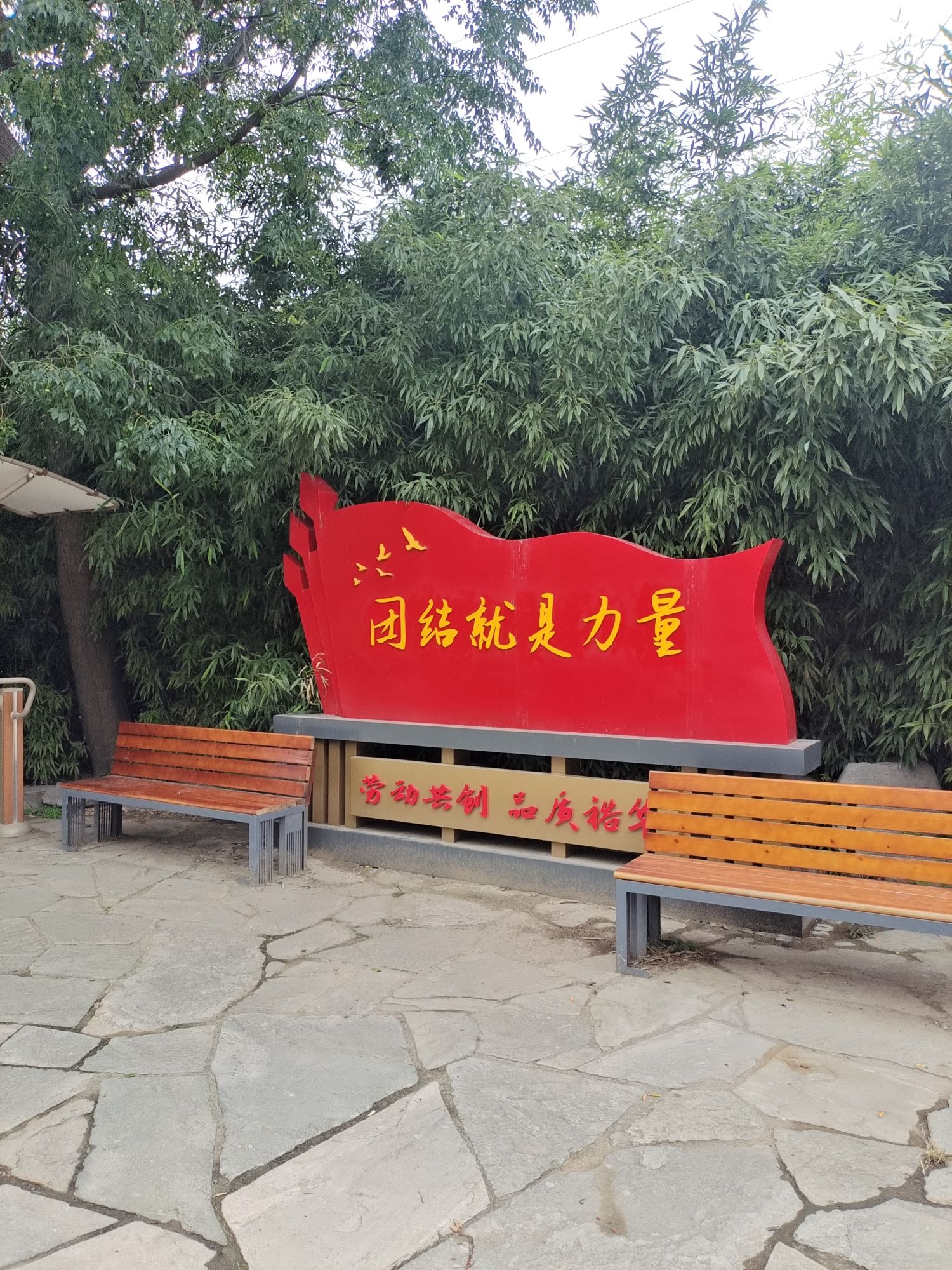 裕华区劳动公园旅行图片 2