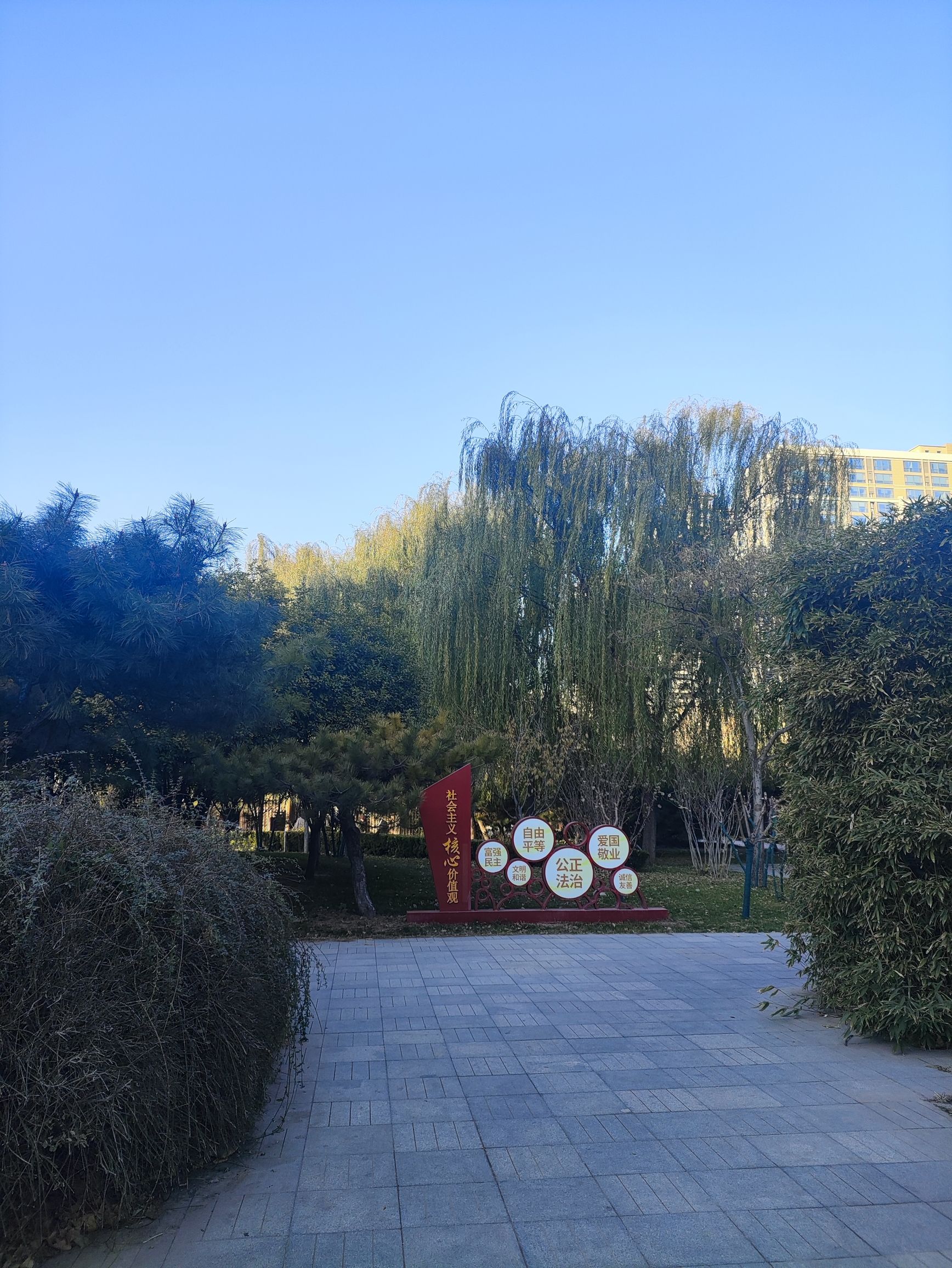 裕华区劳动公园旅行图片 3