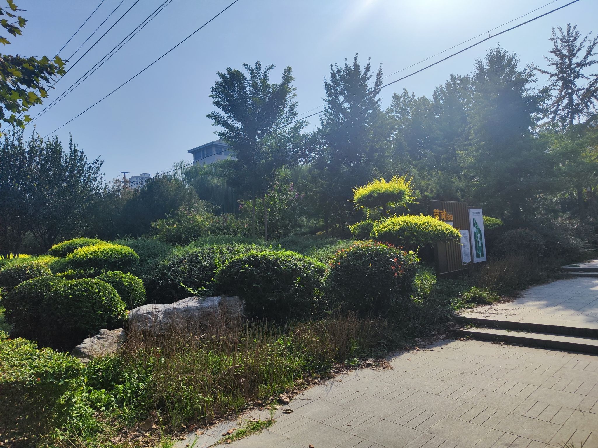 裕华区劳动公园旅行图片 2