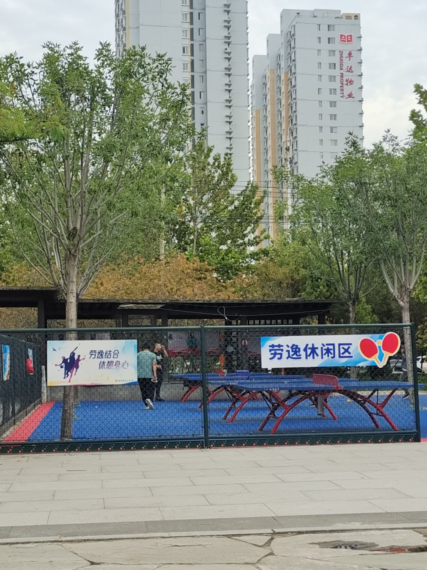 裕华区劳动公园旅行图片 1