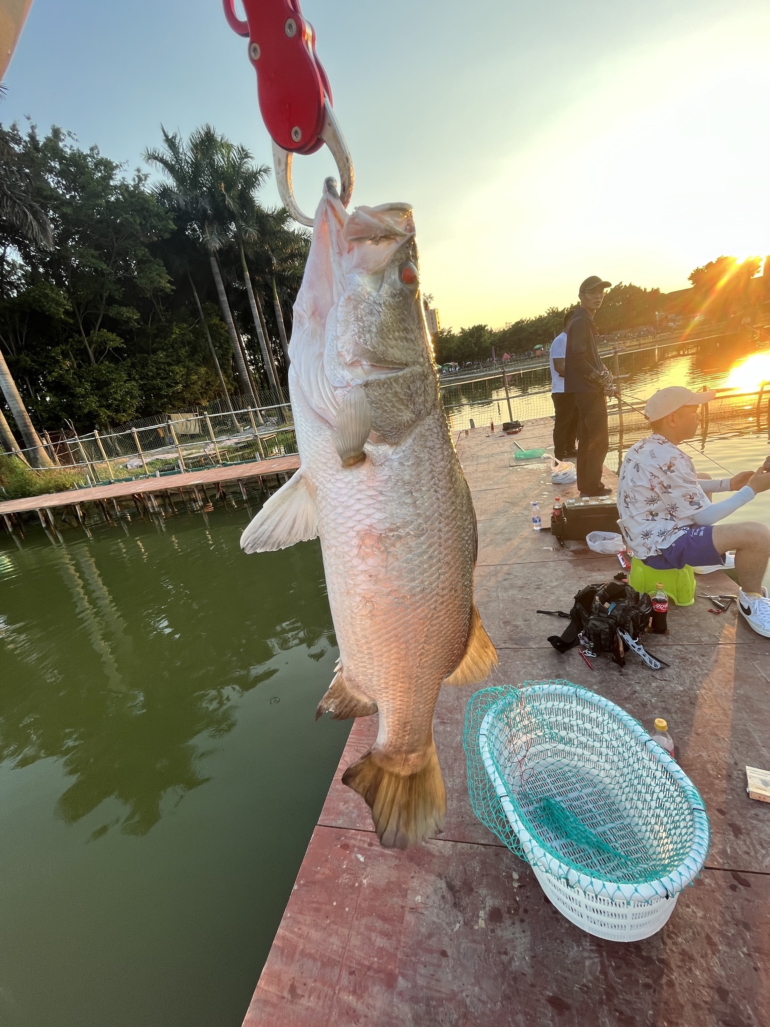 萤火虫路亚休闲垂钓园
