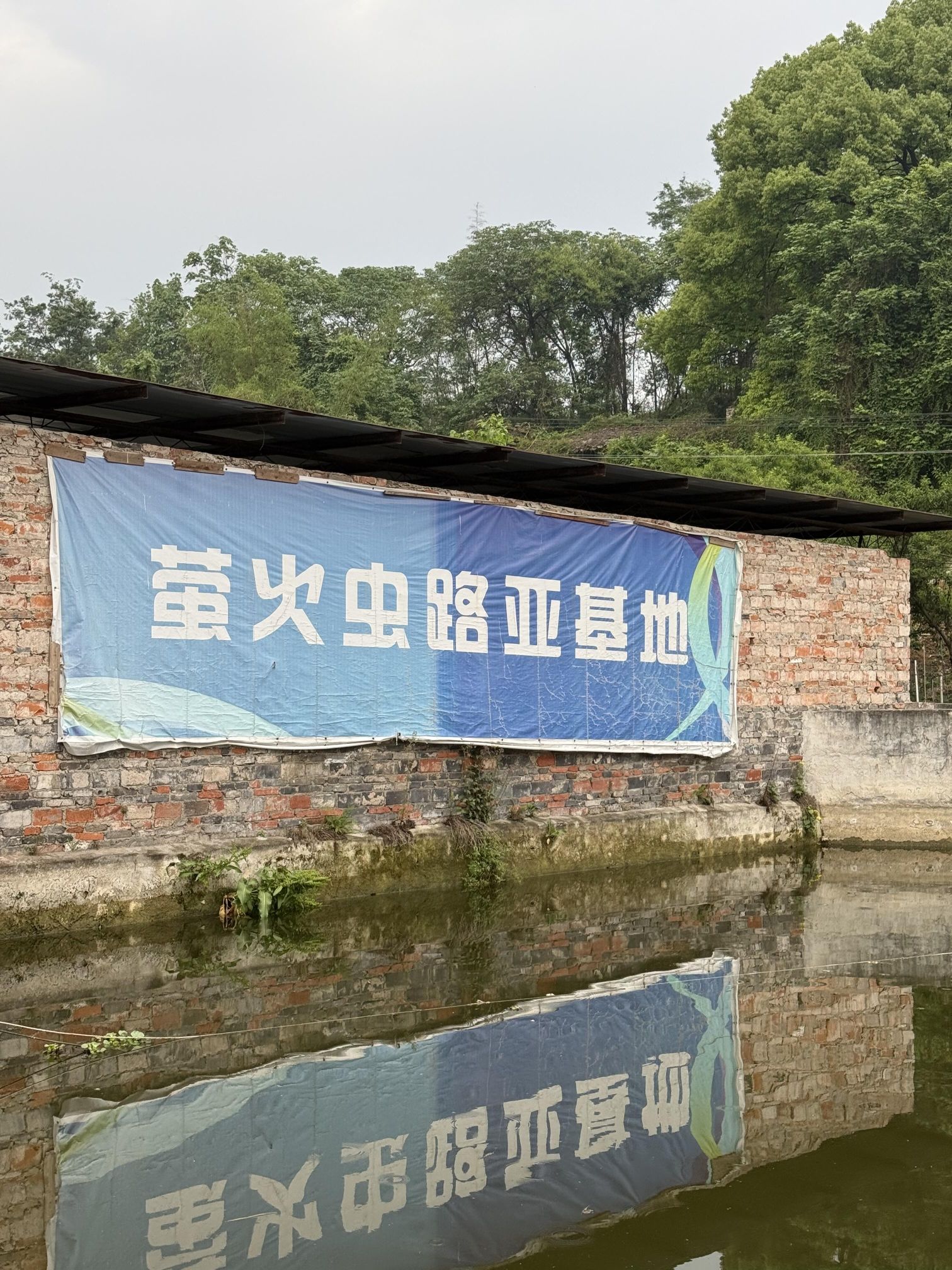 萤火虫路亚休闲垂钓园