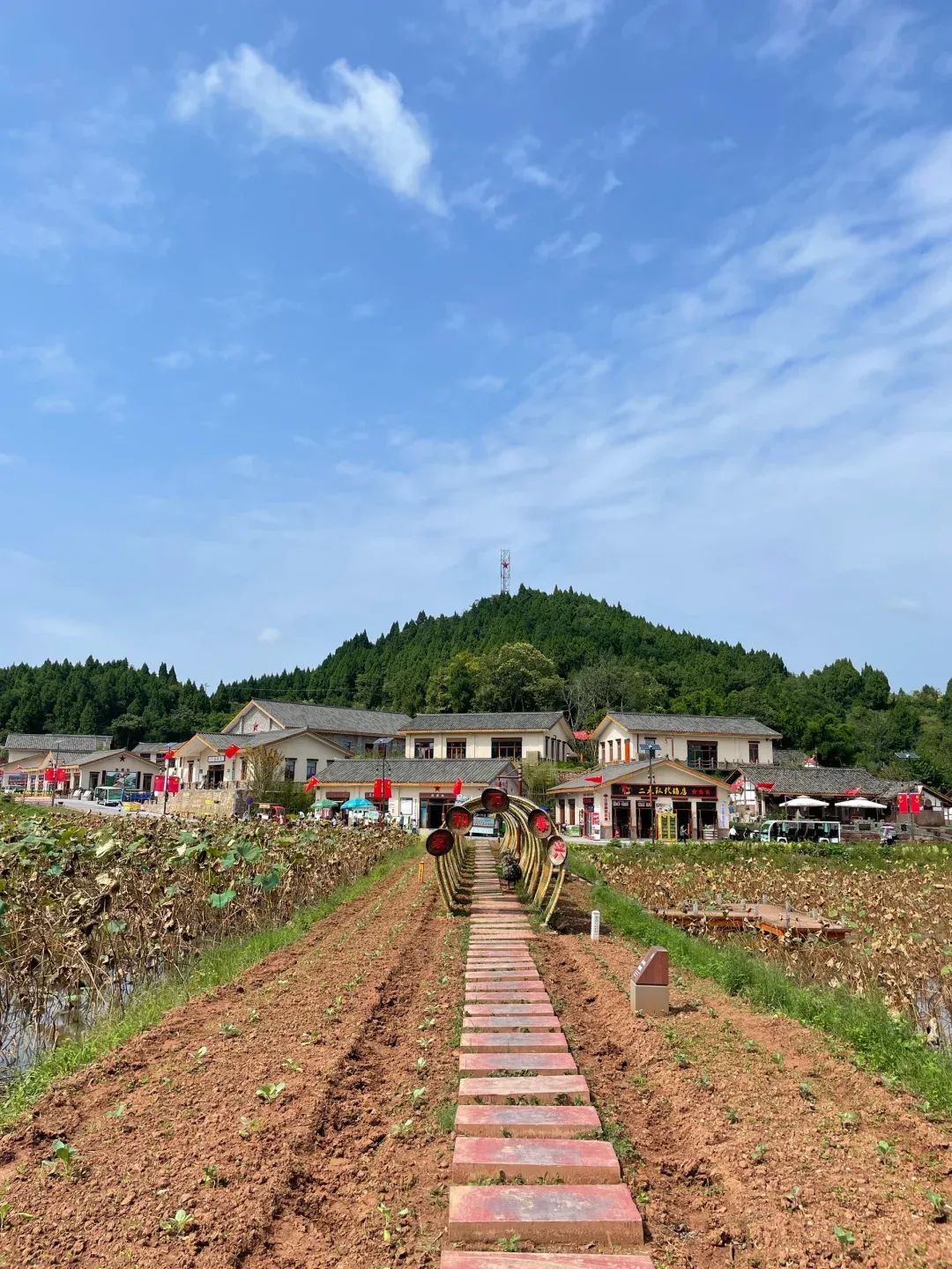 海龙凯歌景区旅行图片 3
