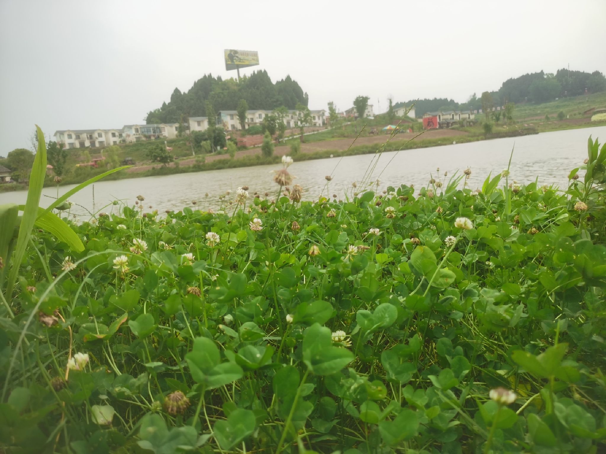 海龙凯歌景区旅行图片 3