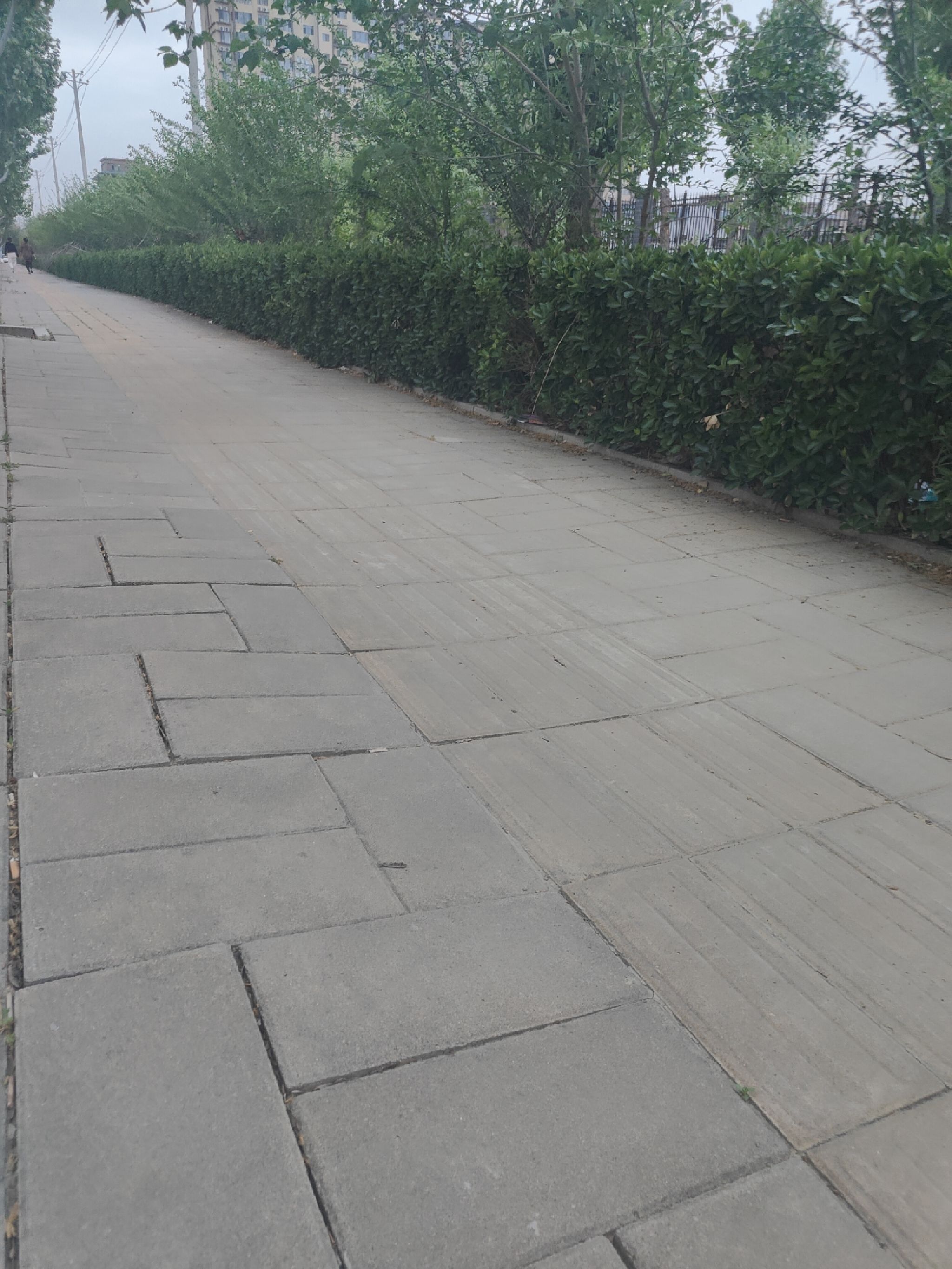 蚩尤部落文化馆旅行图片 2
