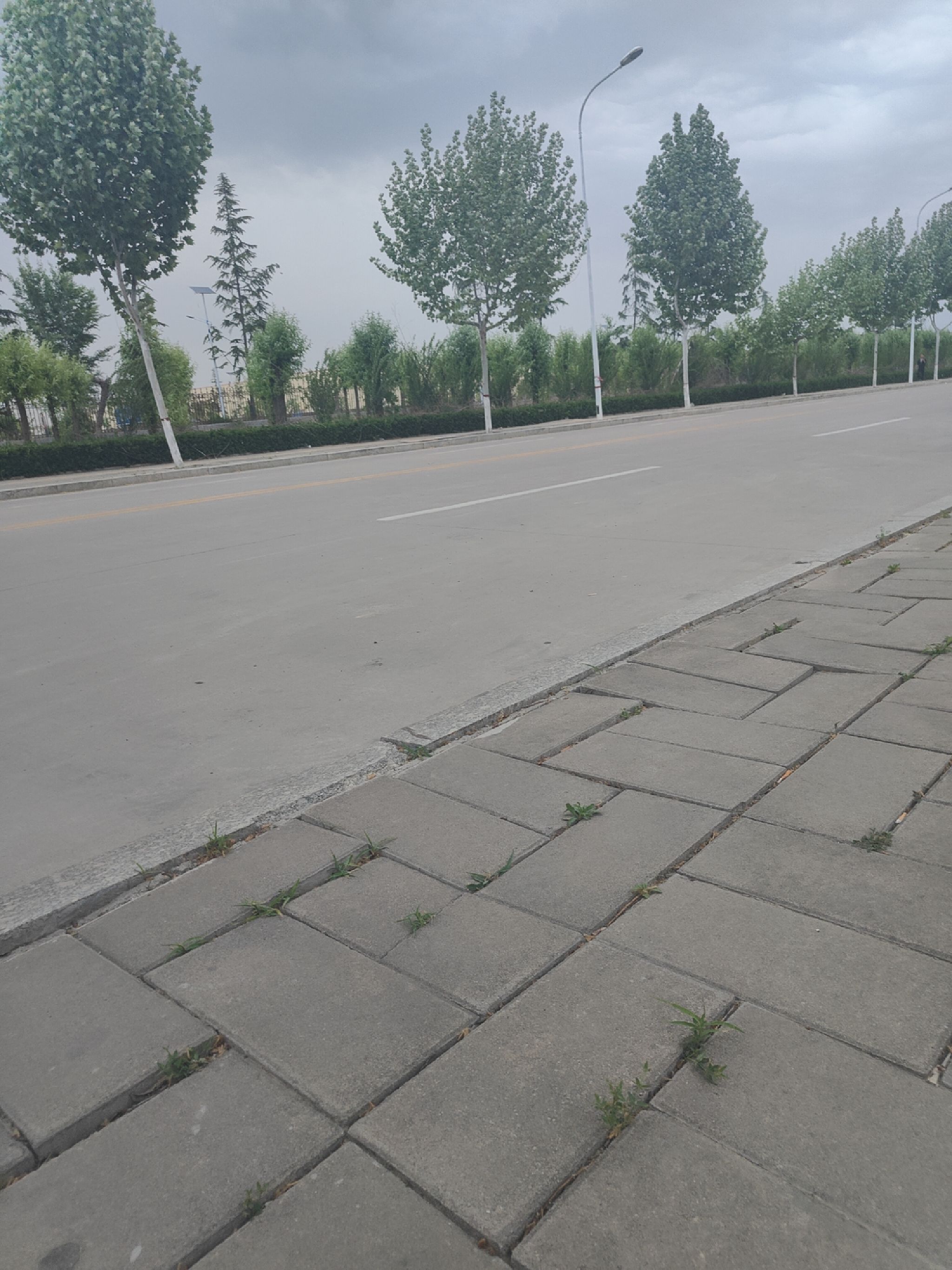蚩尤部落文化馆旅行图片 1