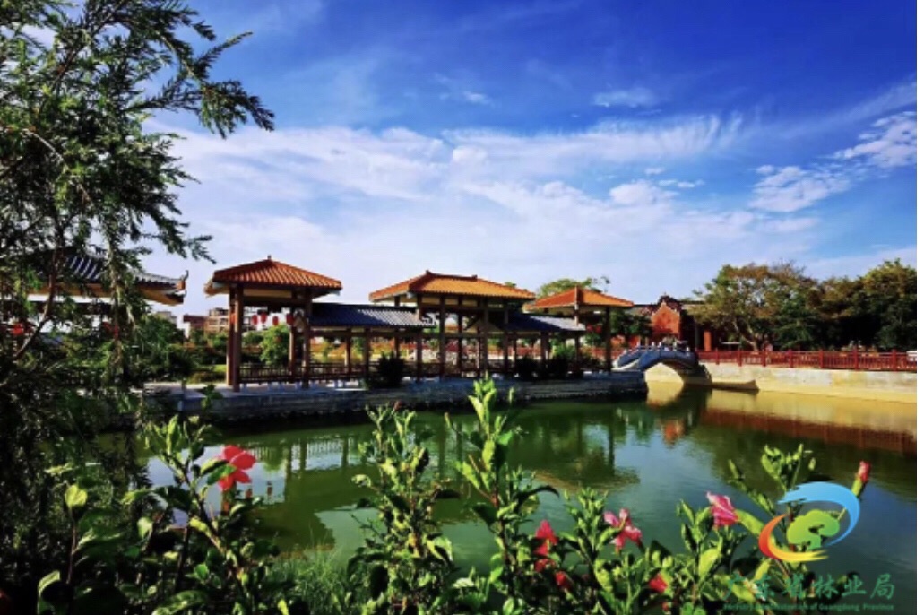 揖花园旅行图片 1