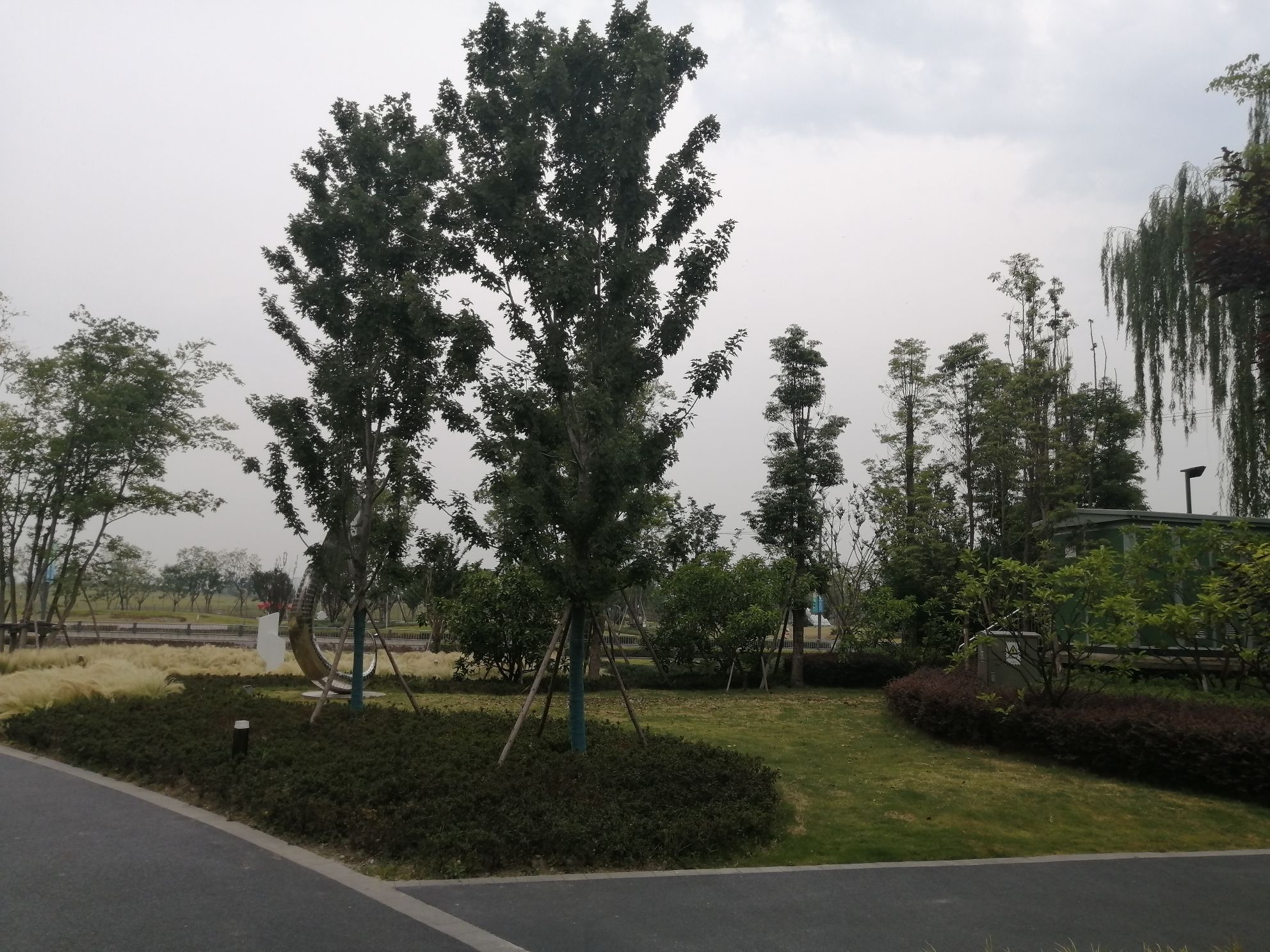 蓉漂人才公园旅行图片 2