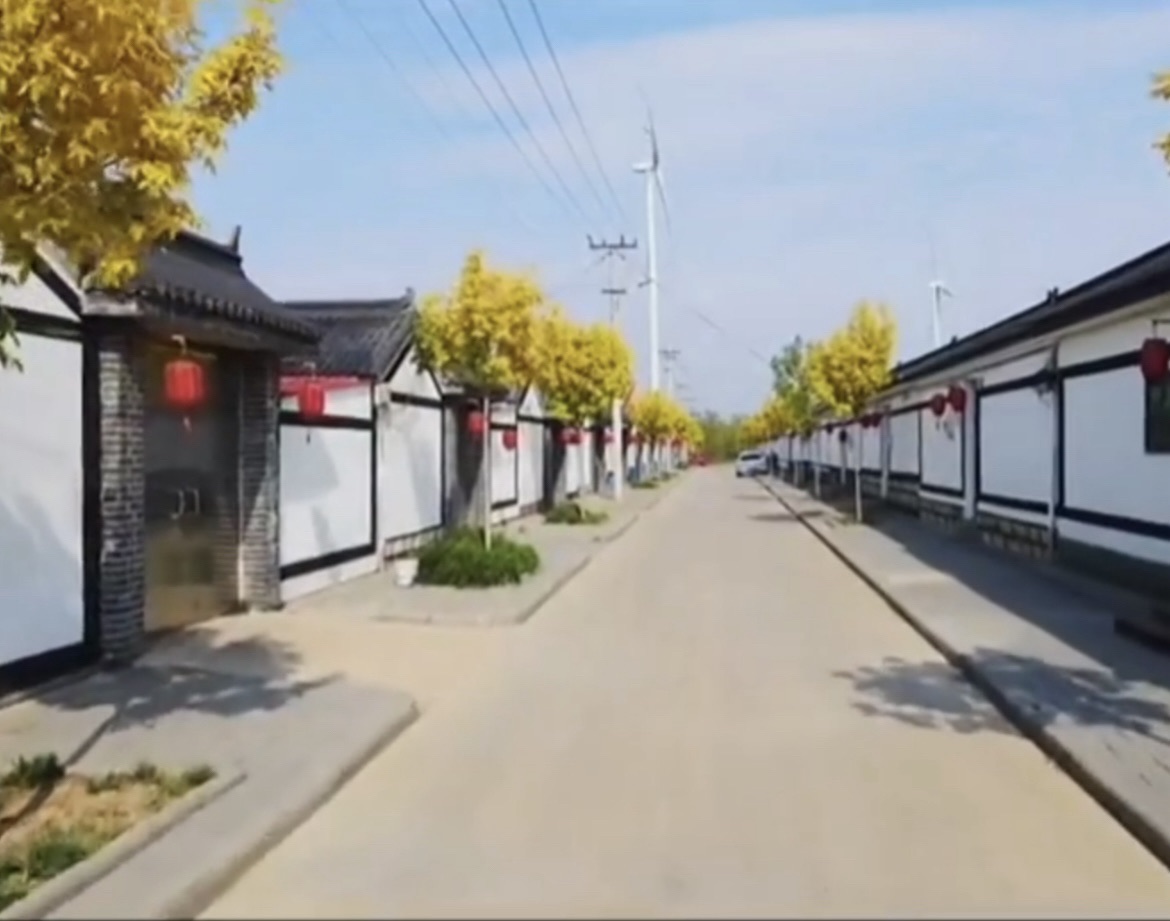 杨泗村稻香花海园旅行图片 1