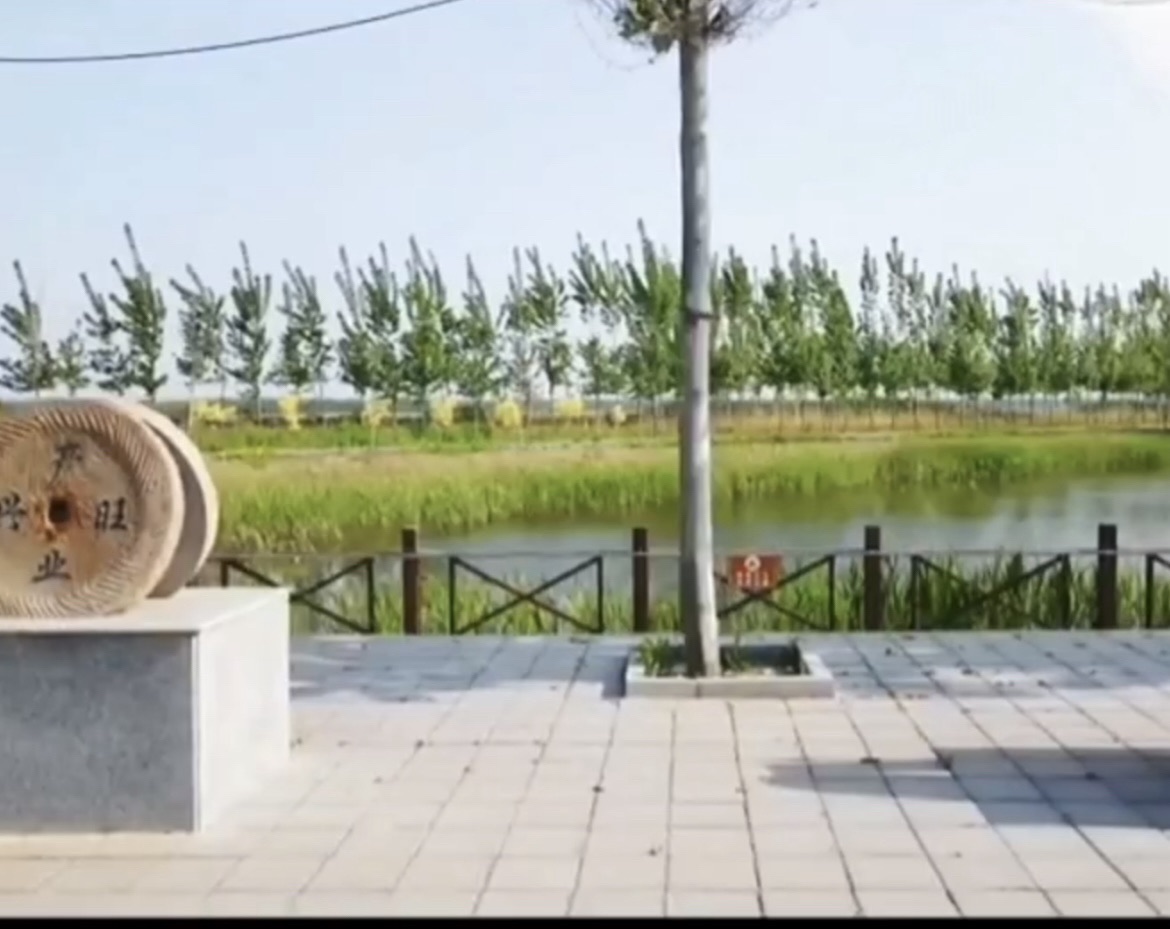 杨泗村稻香花海园旅行图片 3