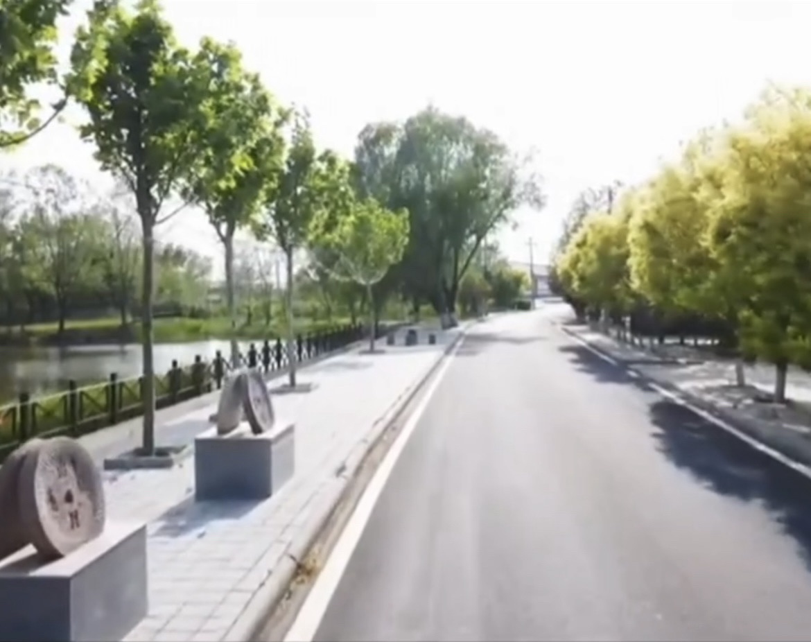 杨泗村稻香花海园旅行图片 2