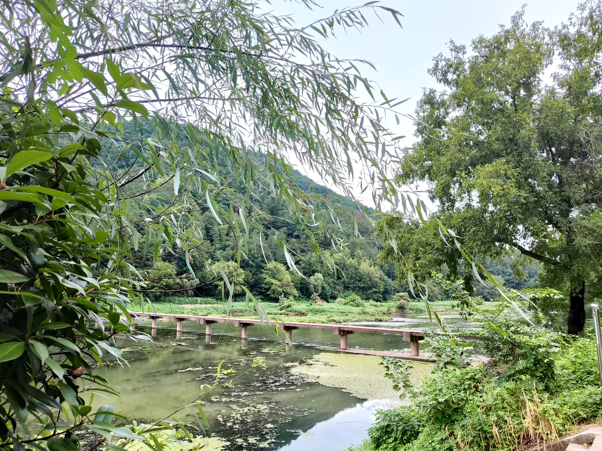 浙江永康石柱(卧龙湾)省级湿地公园旅行图片 1