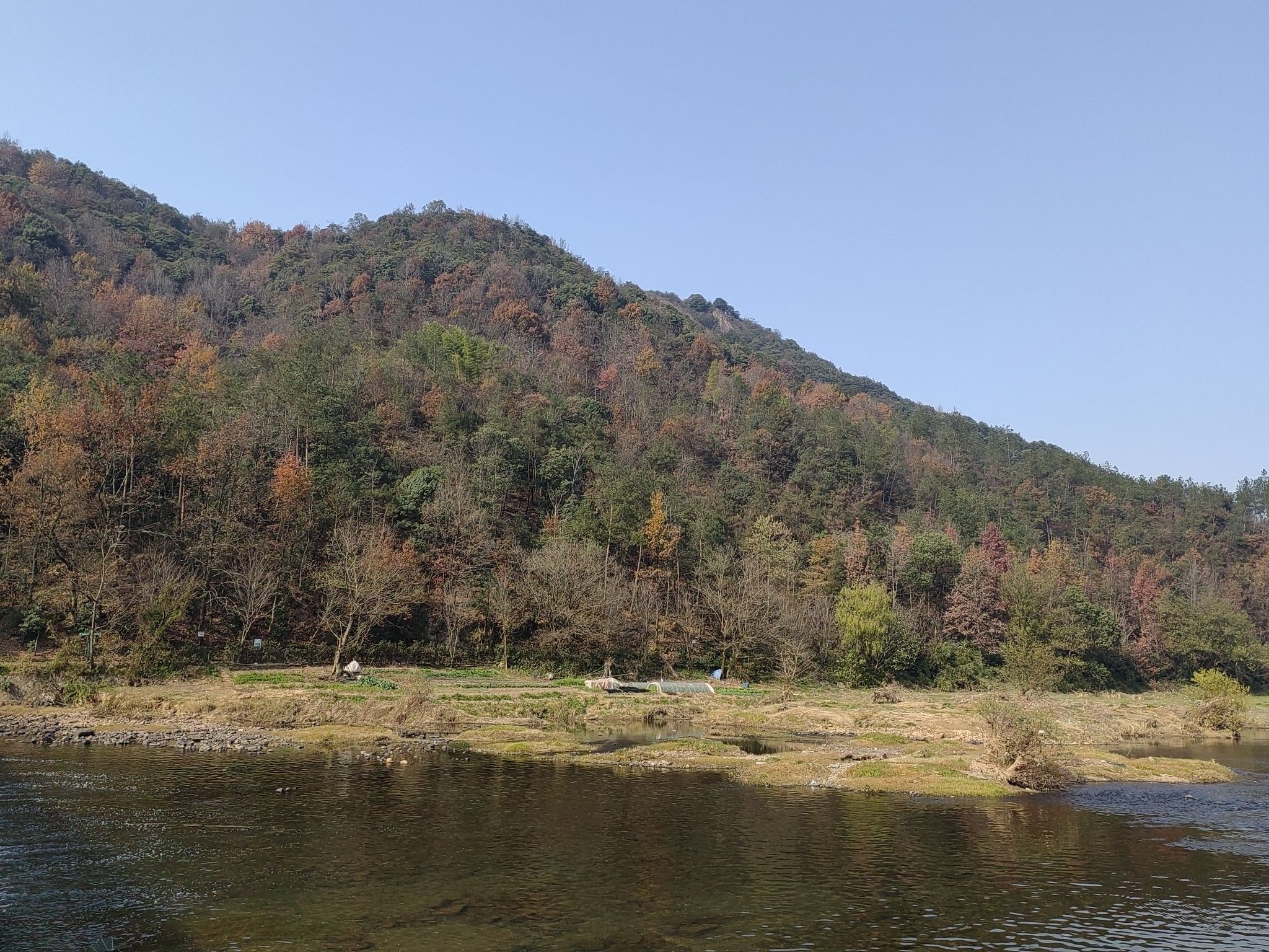 浙江永康石柱(卧龙湾)省级湿地公园旅行图片 2