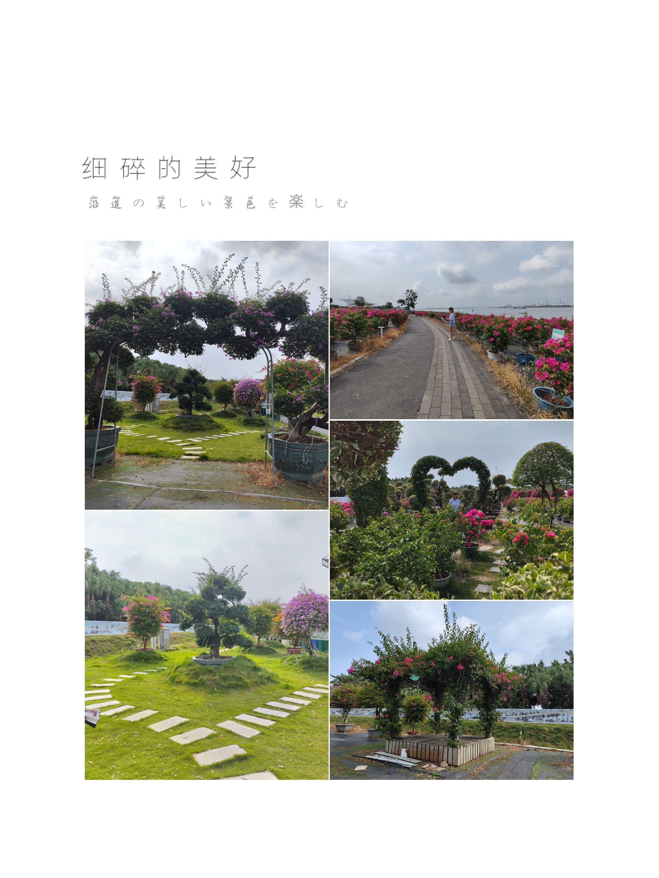 西江花洲公园