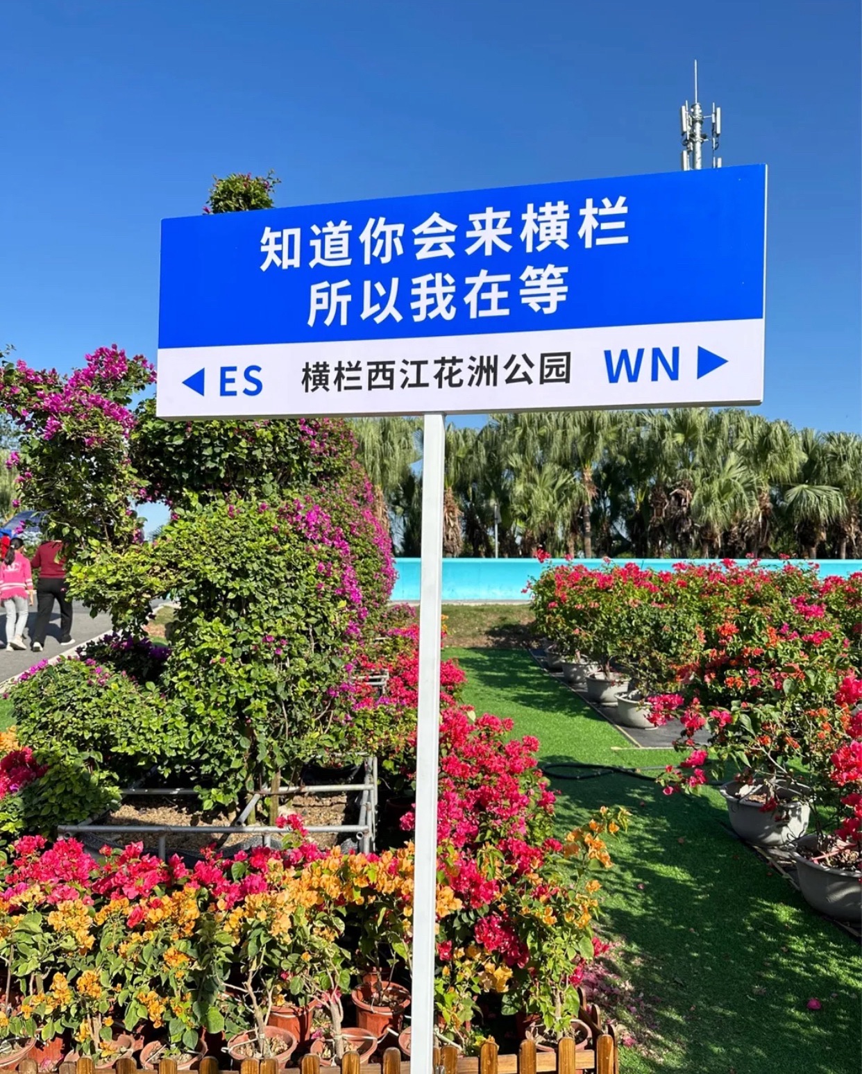 西江花洲公园
