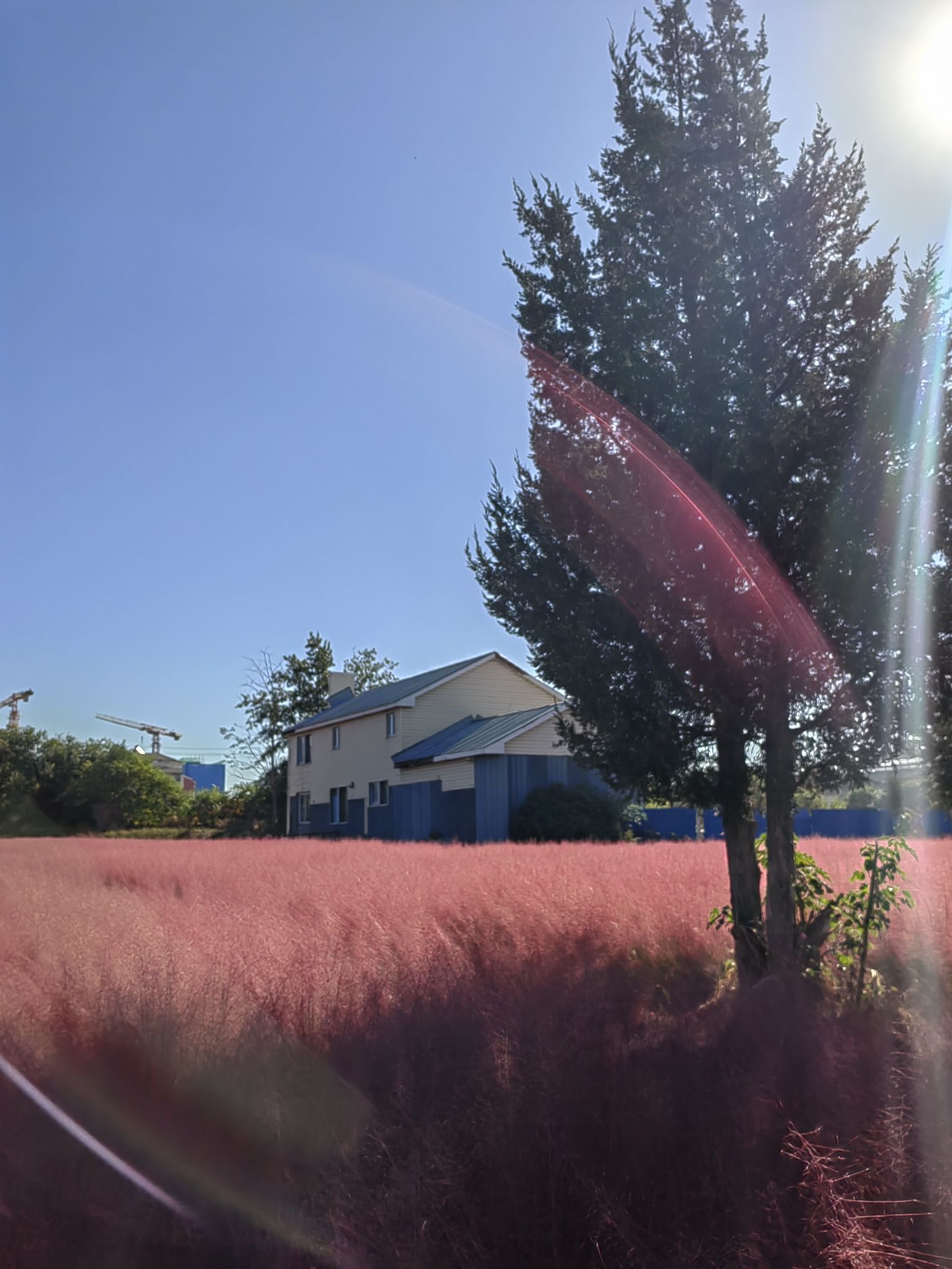 昊天碳中和公园旅行图片 2