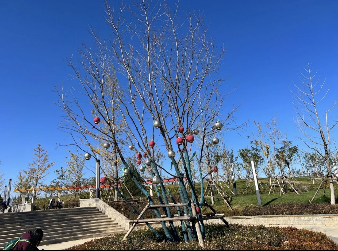 昊天碳中和公园旅行图片 3
