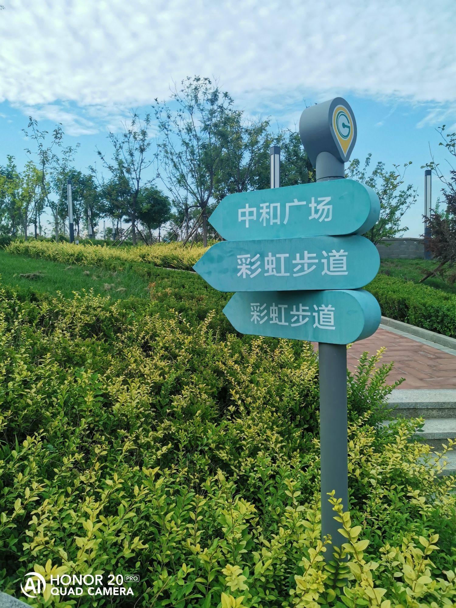 昊天碳中和公园旅行图片 3