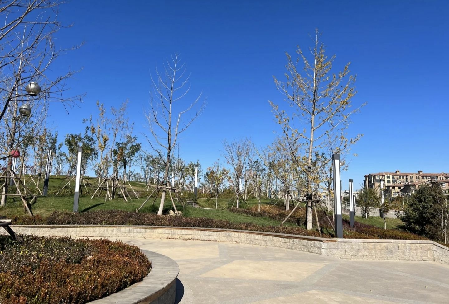 昊天碳中和公园旅行图片 2