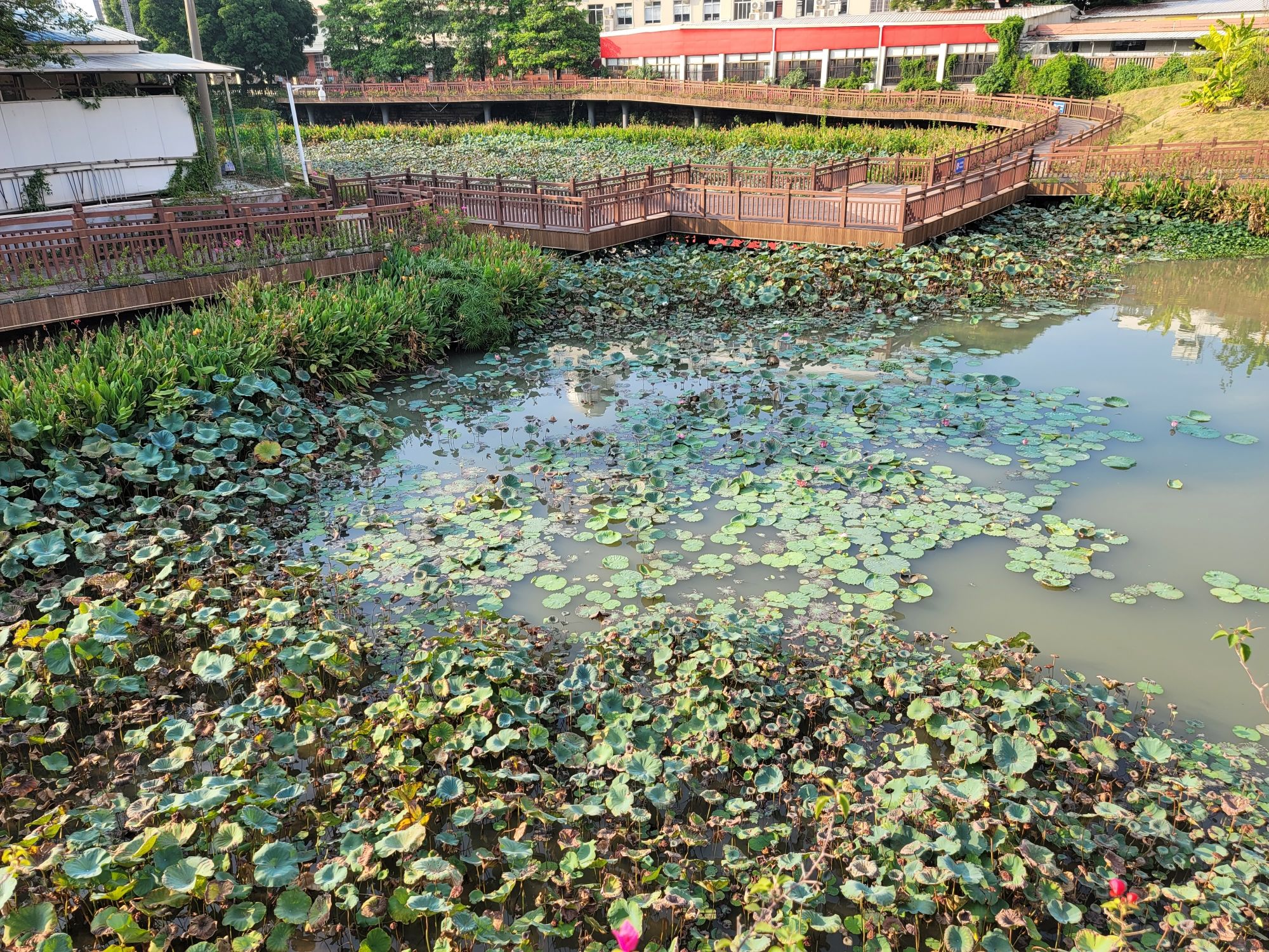 龙文塔遗址旅行图片 3